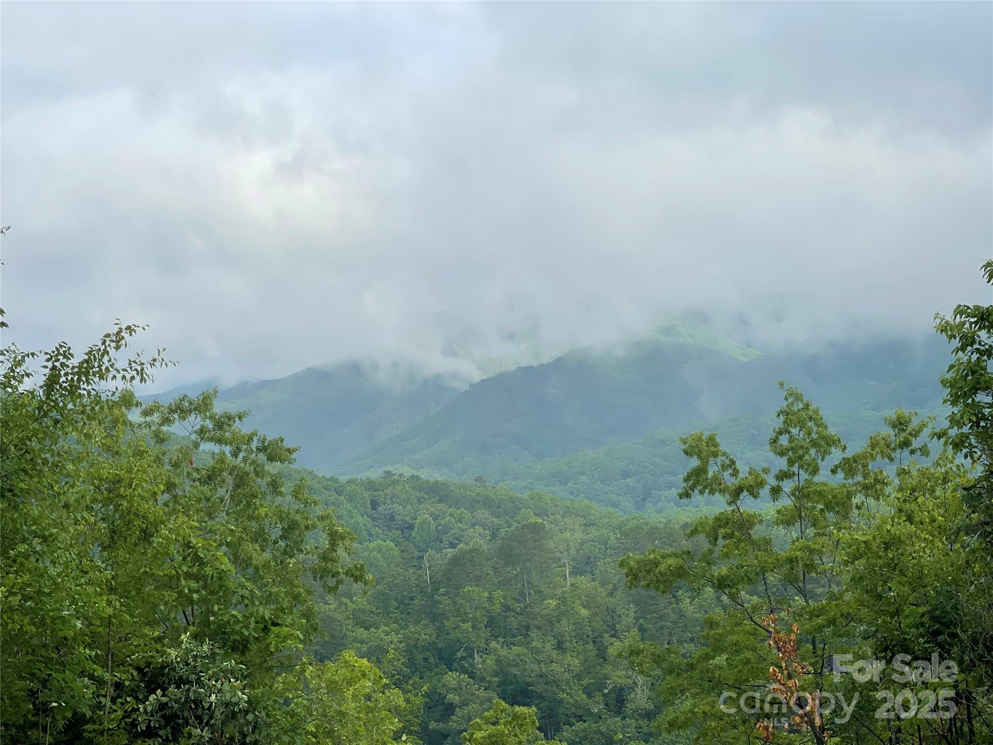 600 Fernwood Drive Property Photo 6