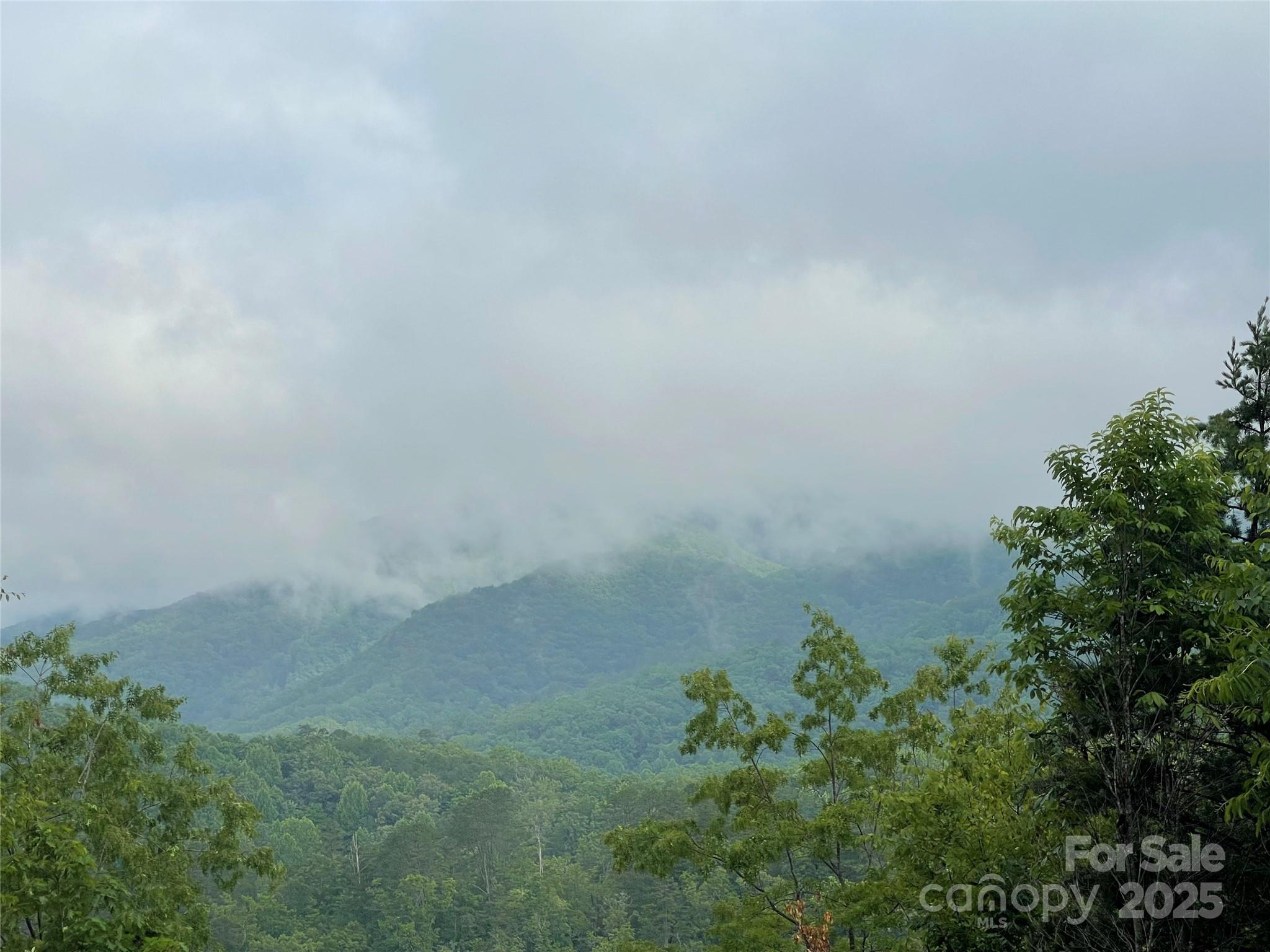 600 Fernwood Drive Property Photo 7