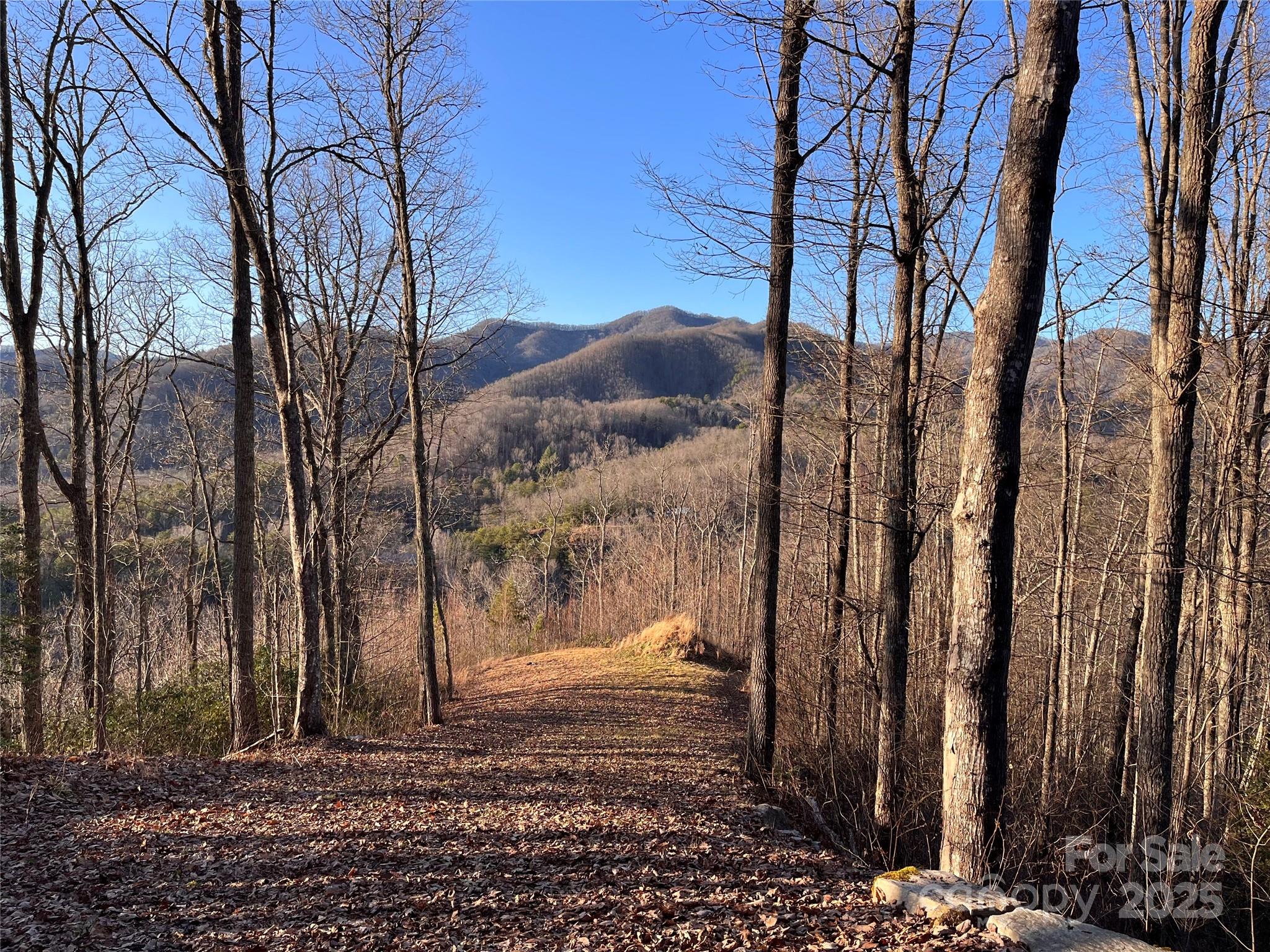 600 Fernwood Drive Property Photo 8