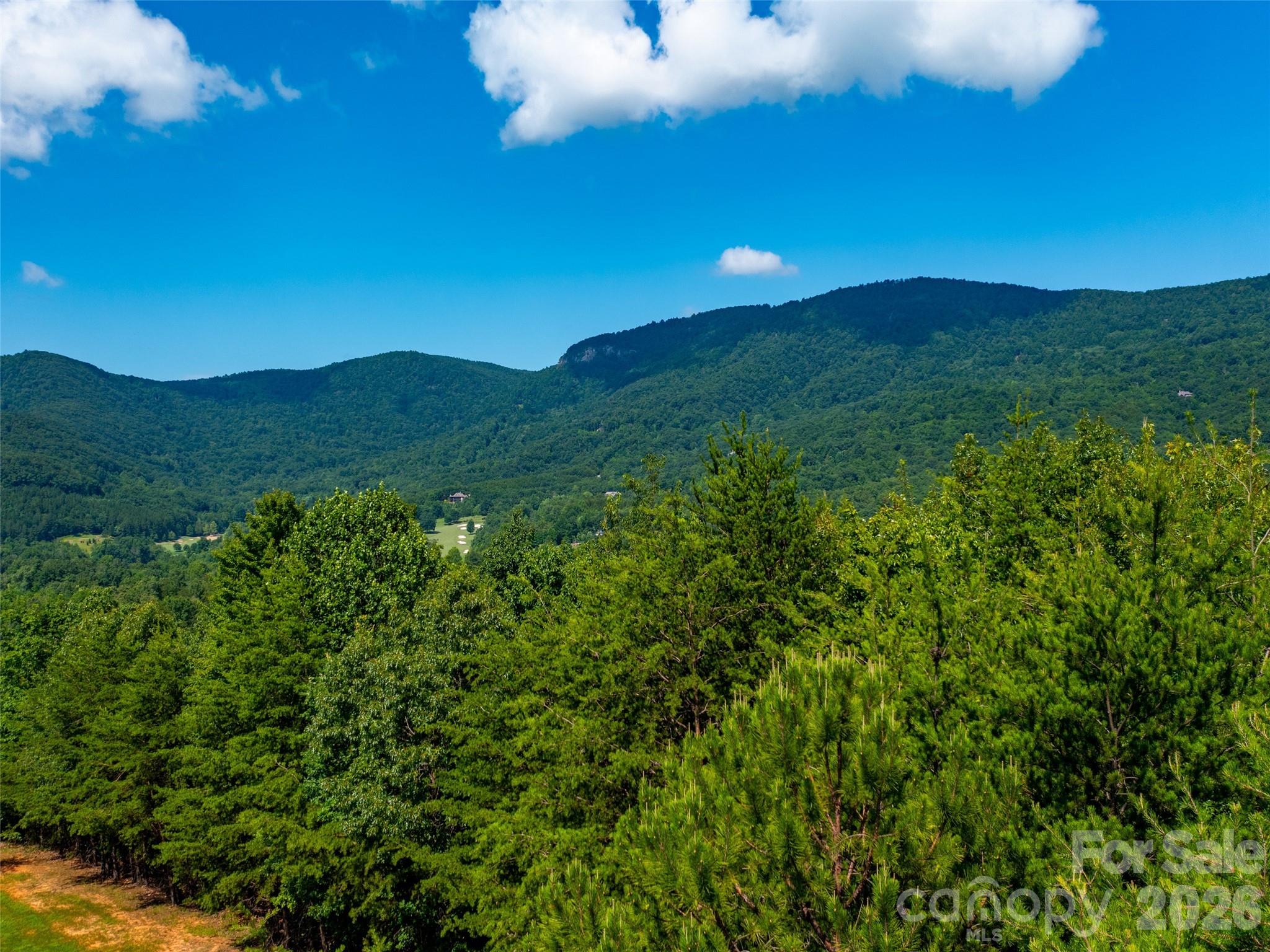 40 Deep Gap Farm Road Property Photo 5