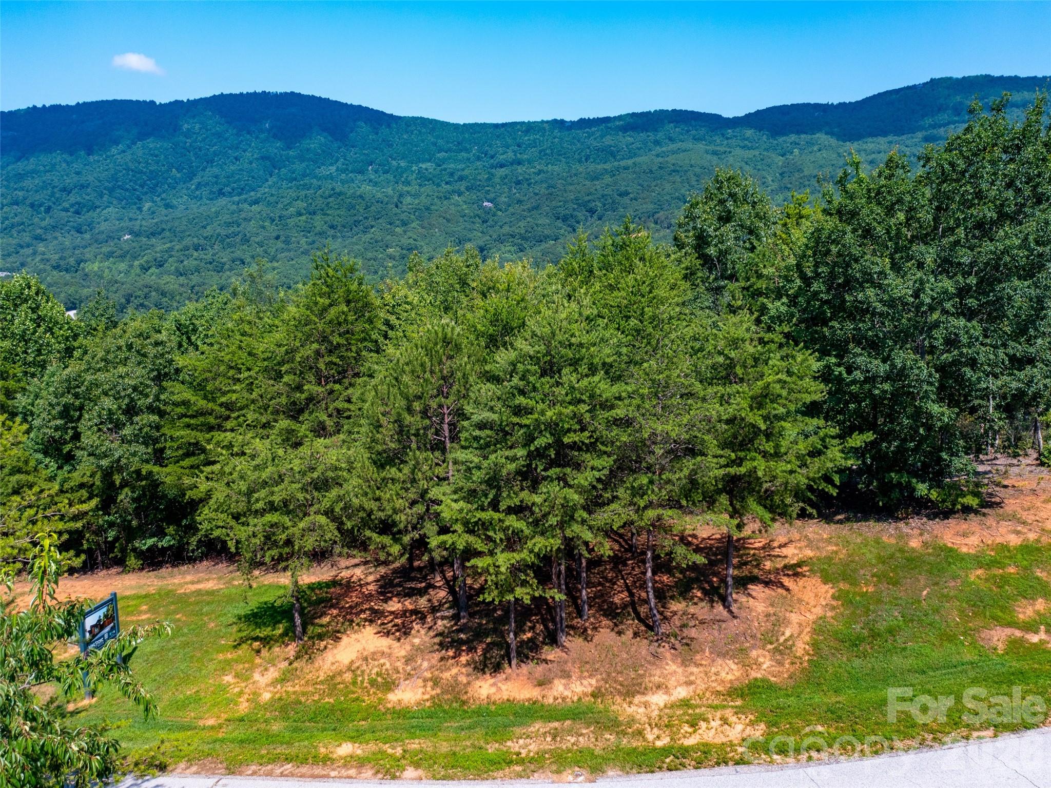 40 Deep Gap Farm Road Property Photo 10