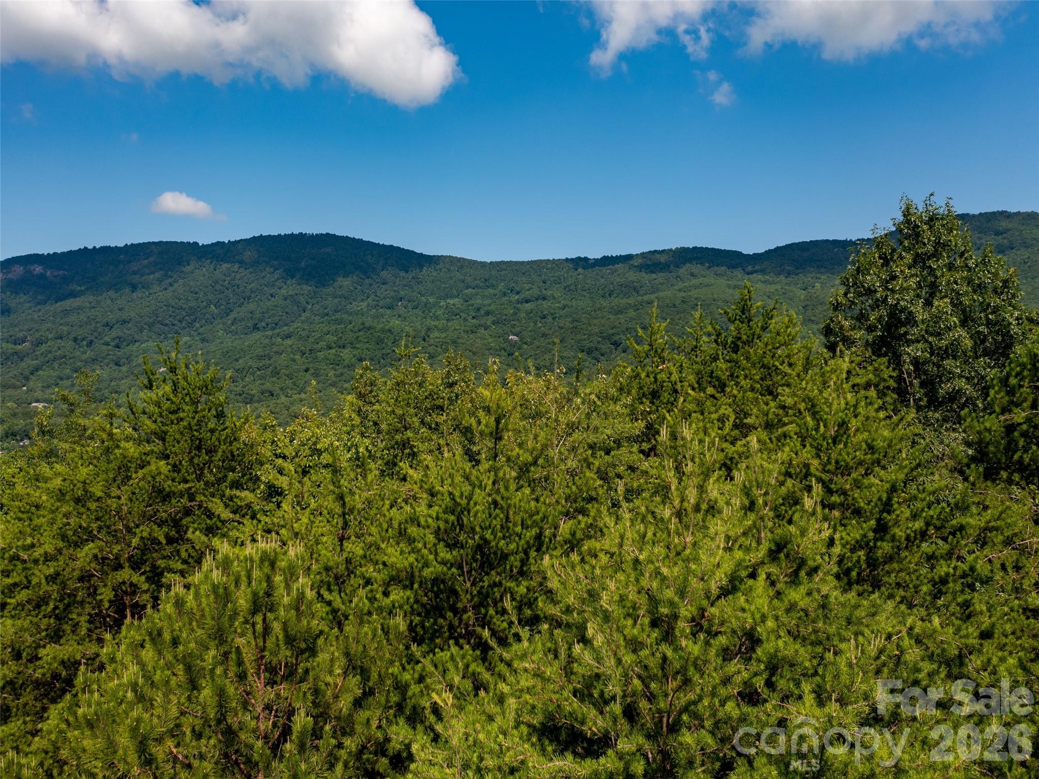 40 Deep Gap Farm Road Property Photo 11
