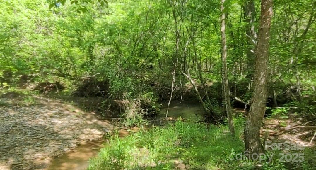 0 Big Level Road Property Photo 3