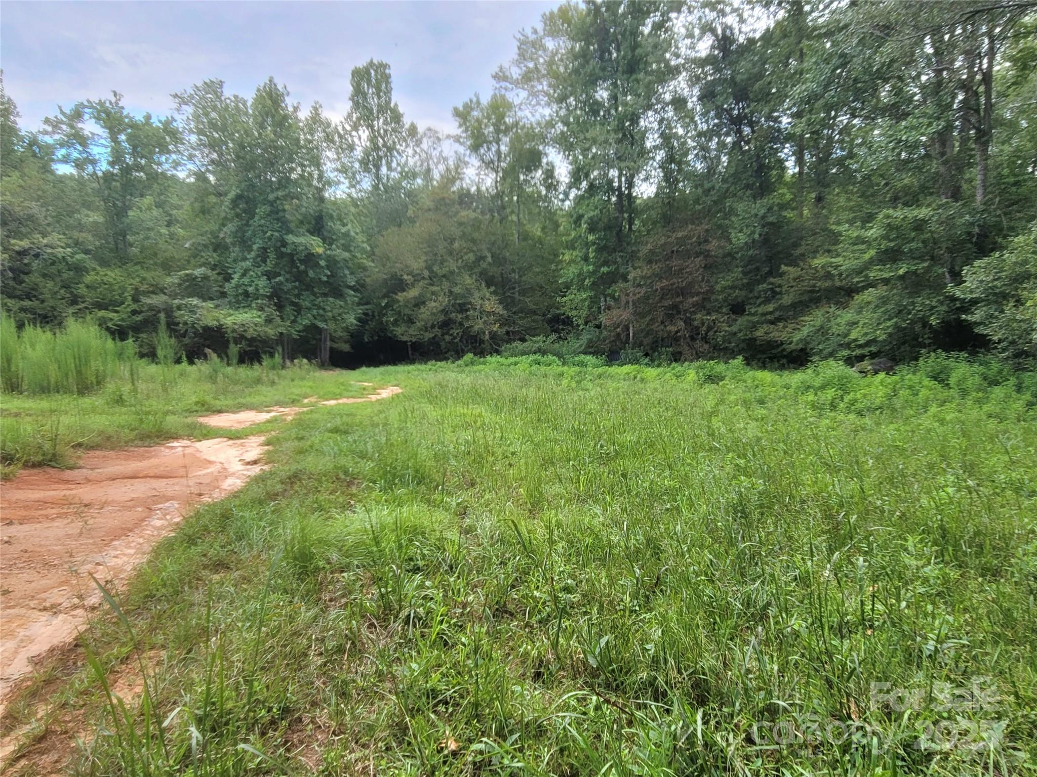 0 Big Level Road Property Photo 4