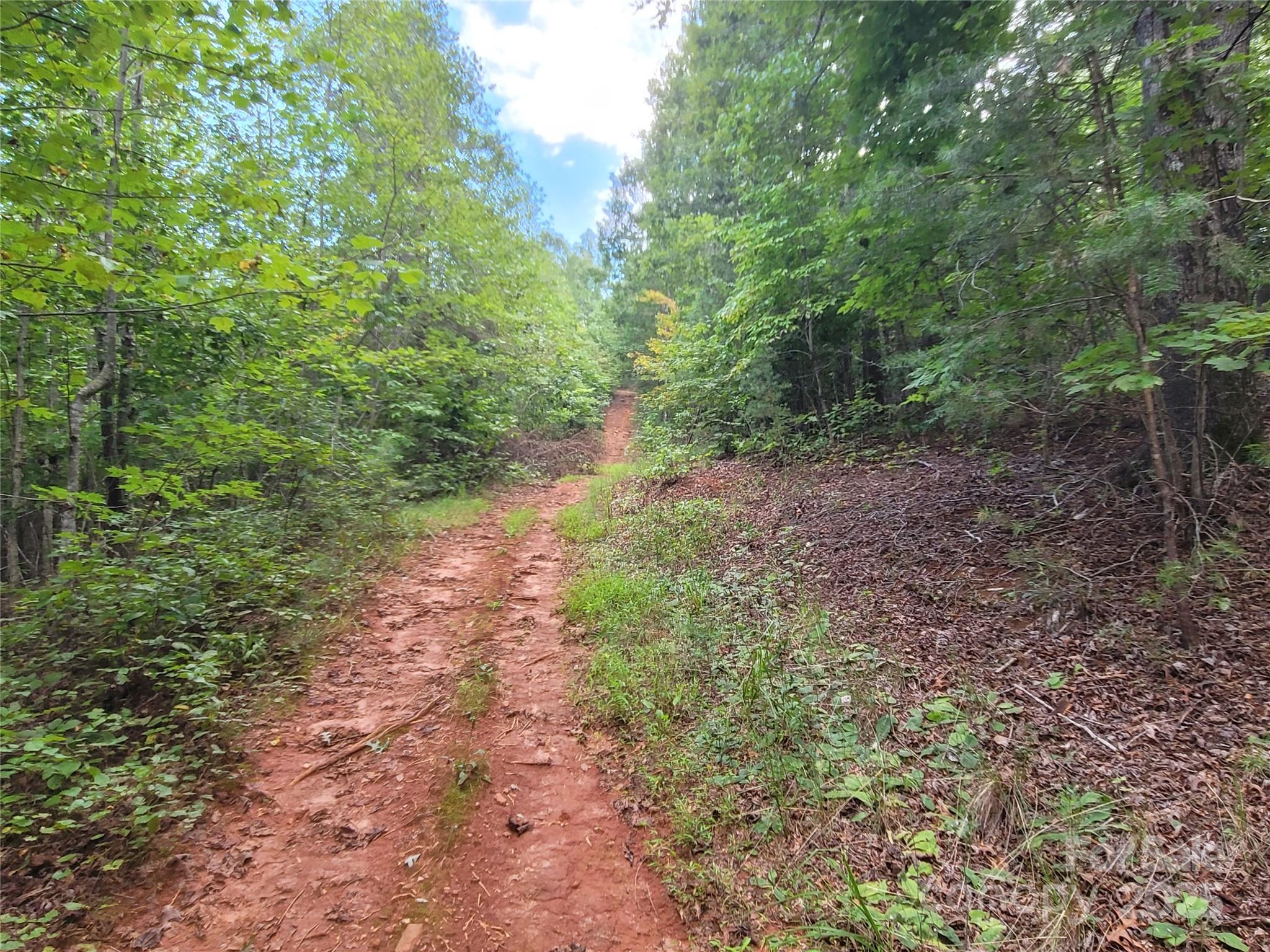 0 Big Level Road Property Photo 10