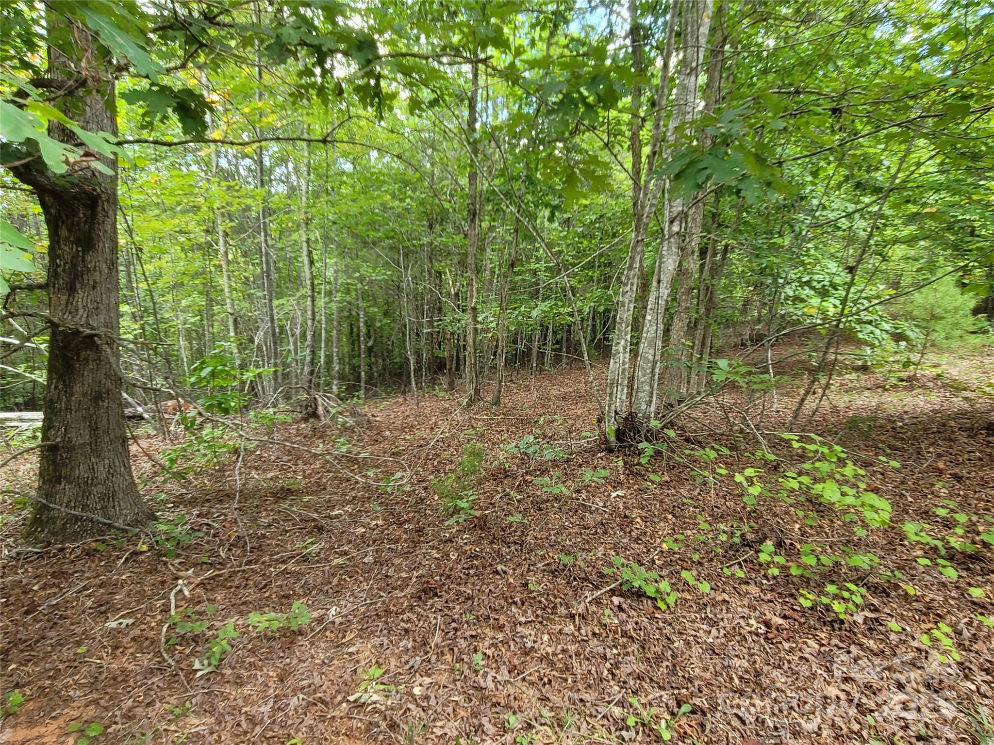0 Big Level Road Property Photo 11
