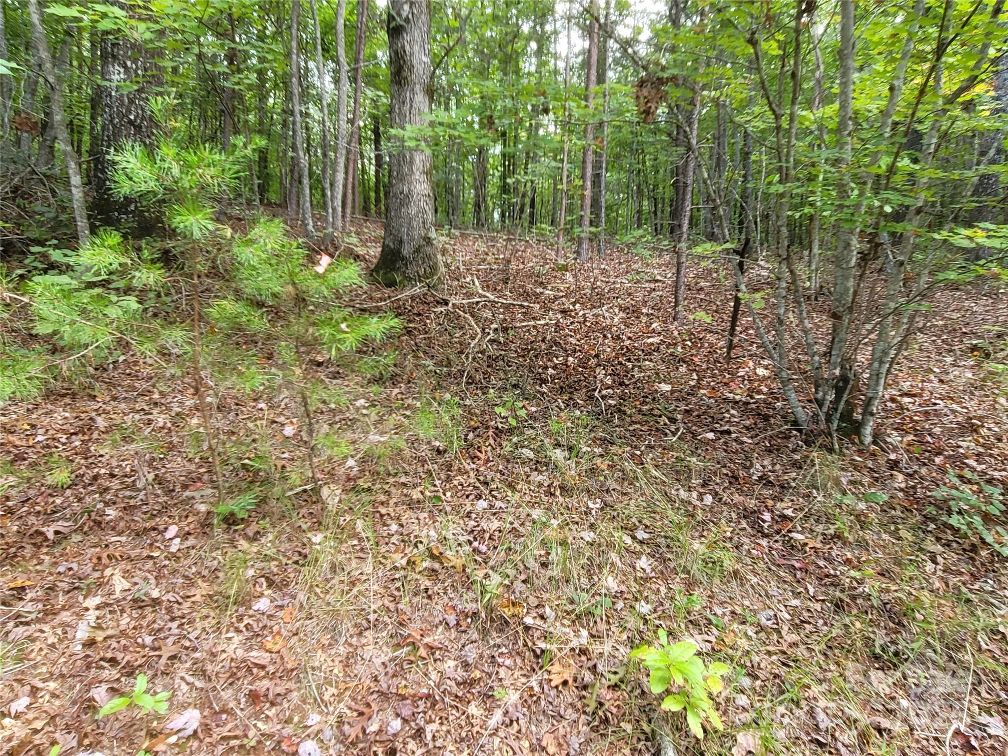 0 Big Level Road Property Photo 12