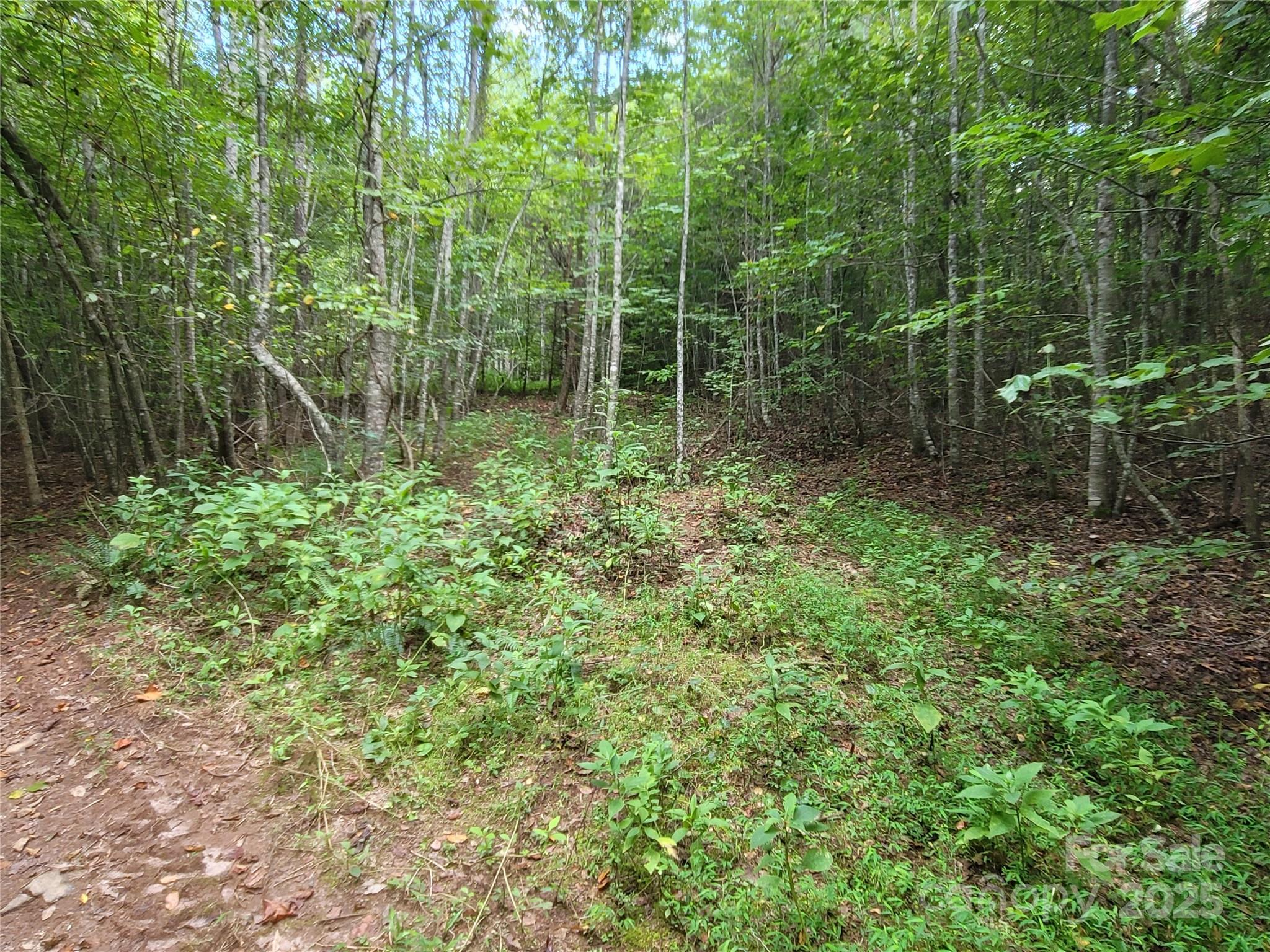0 Big Level Road Property Photo 13