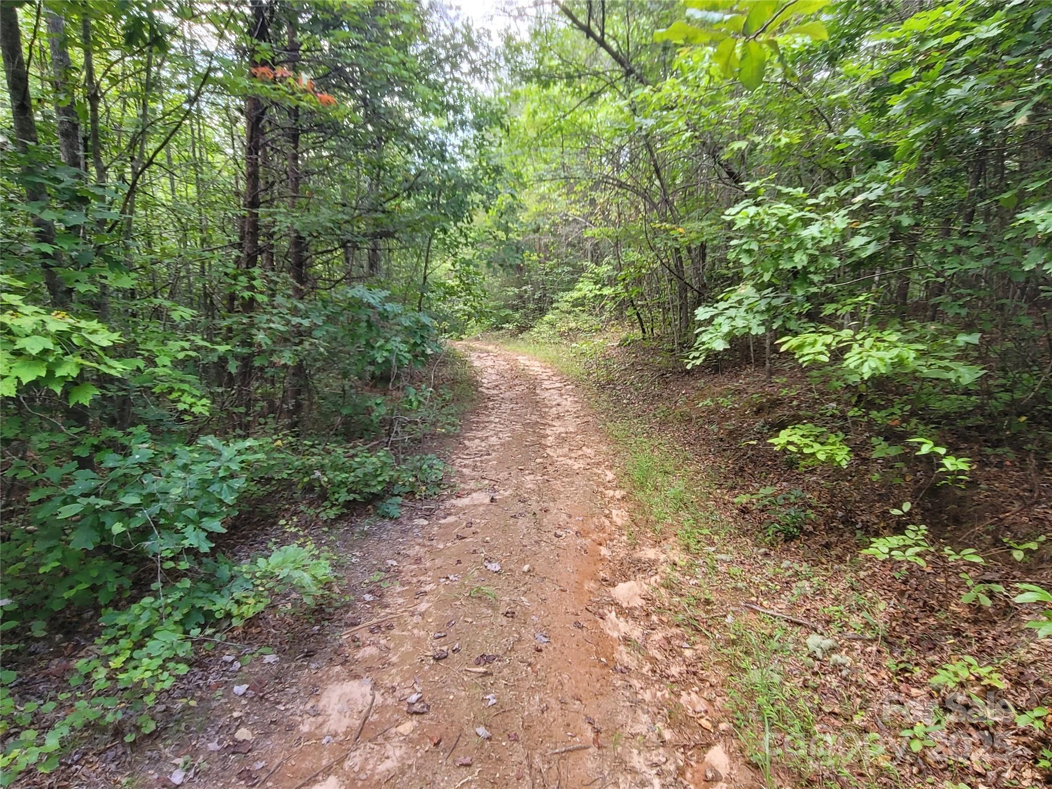 0 Big Level Road Property Photo 14