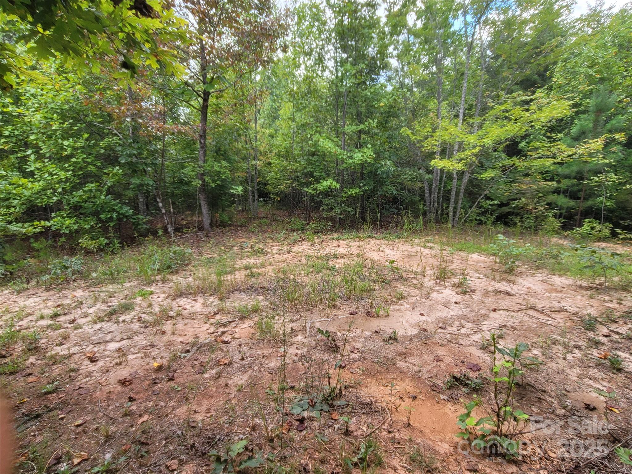 0 Big Level Road Property Photo 15