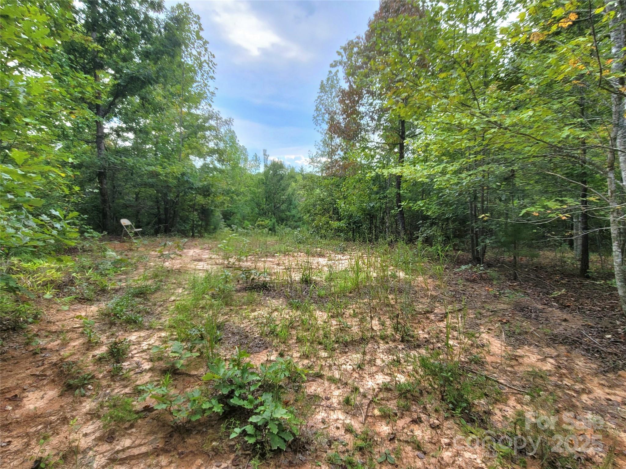 0 Big Level Road Property Photo 16