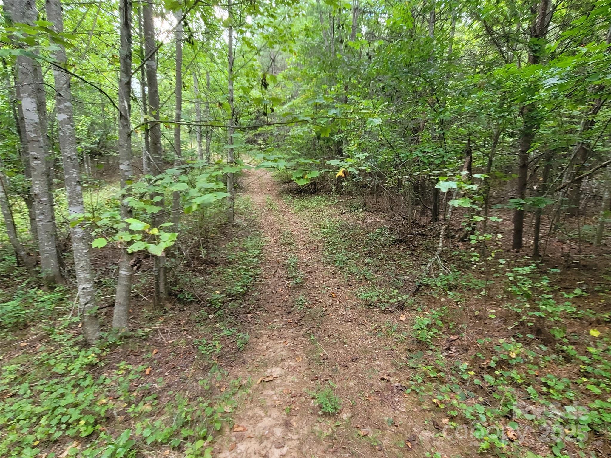 0 Big Level Road Property Photo 17