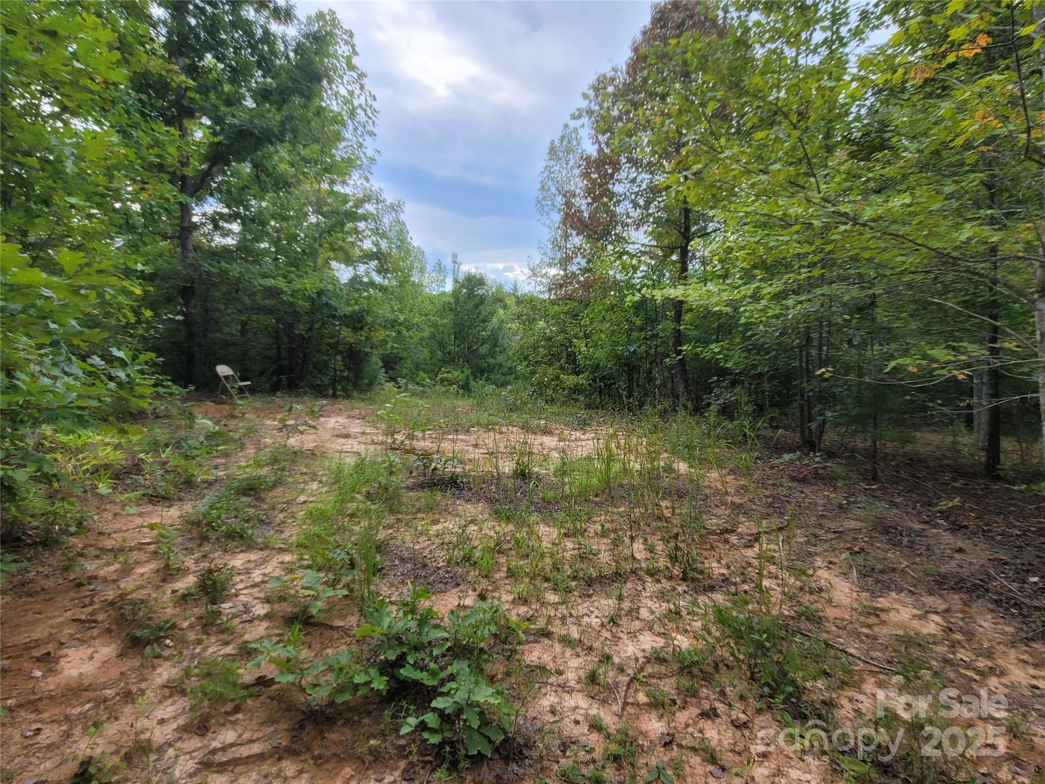0 Big Level Road Property Photo 18