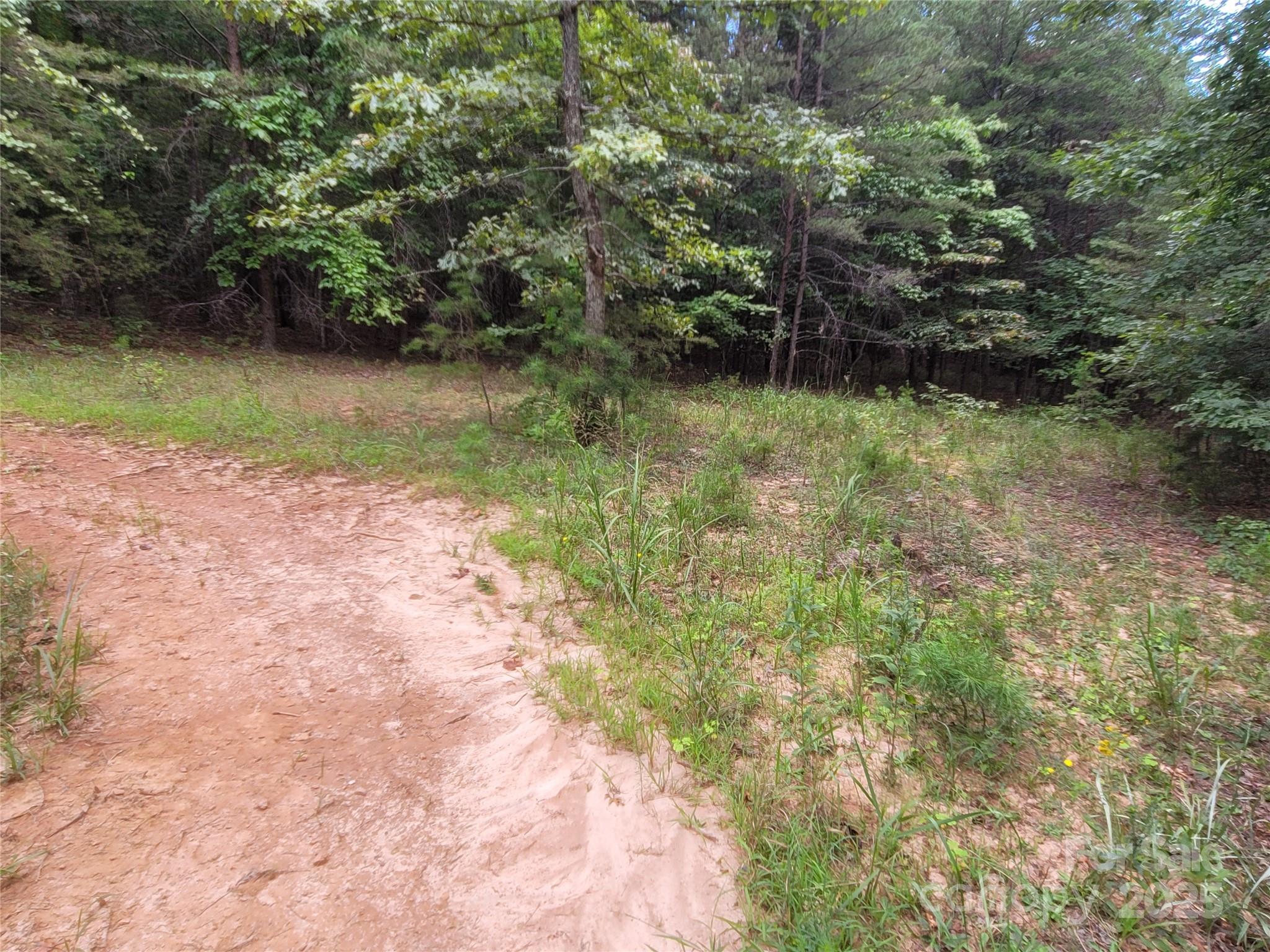 0 Big Level Road Property Photo 19