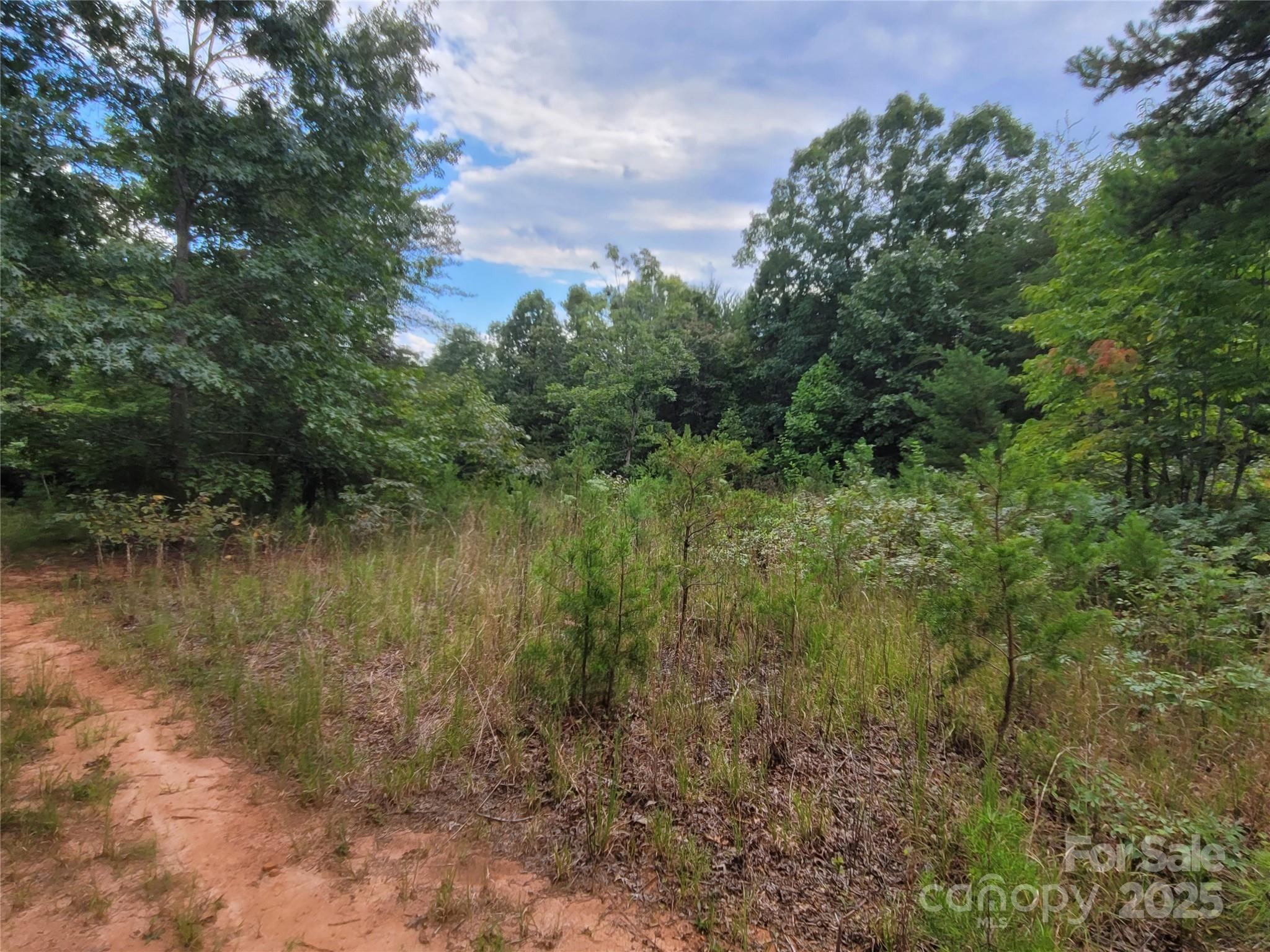 0 Big Level Road Property Photo 20