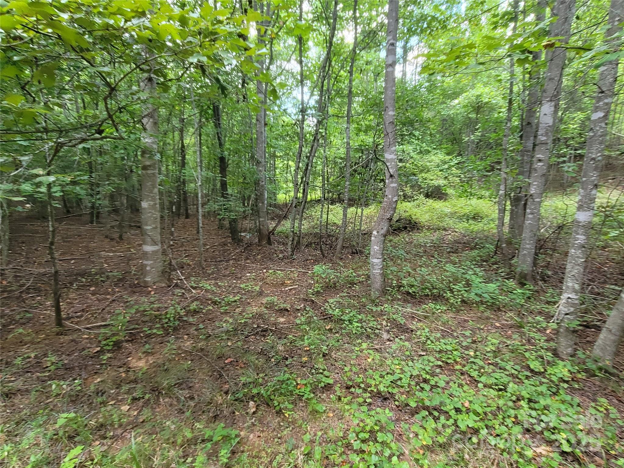 0 Big Level Road Property Photo 21