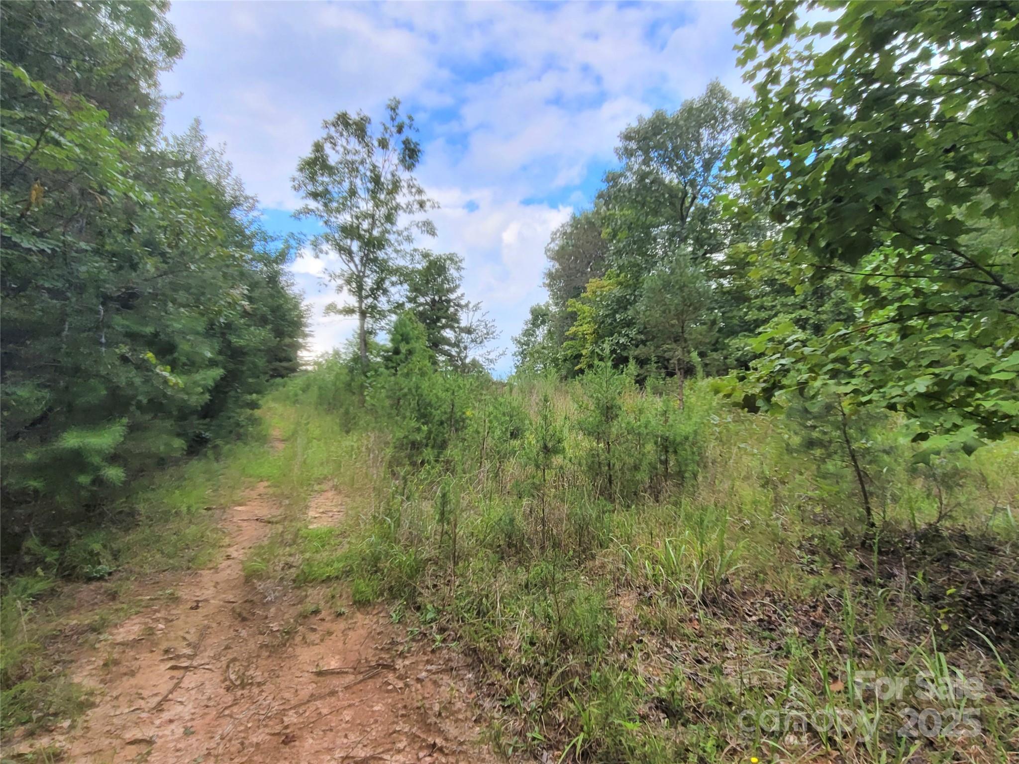 0 Big Level Road Property Photo 22