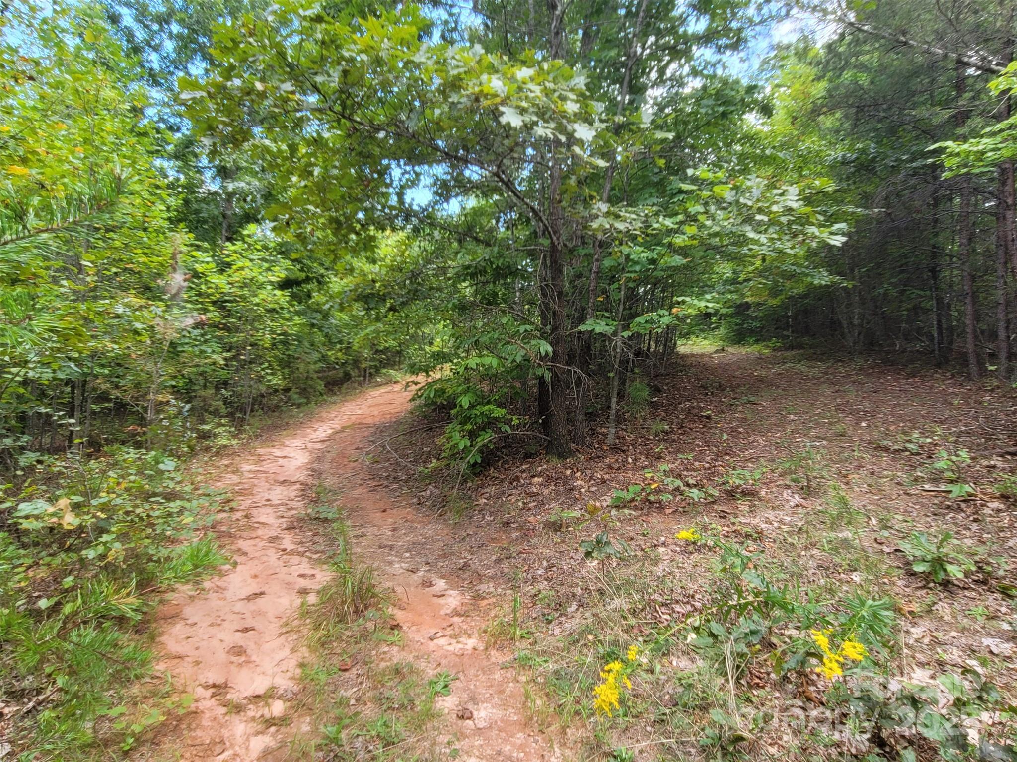 0 Big Level Road Property Photo 23