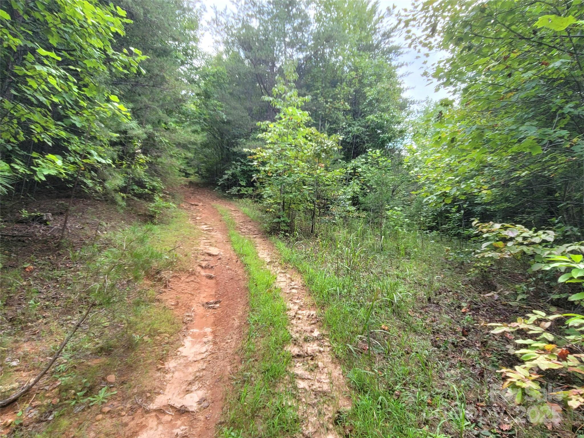 0 Big Level Road Property Photo 24