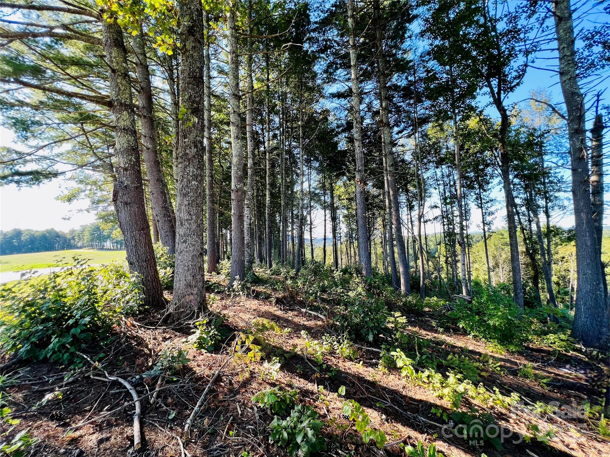 2.07 Acres, 2058 Thoroughbred Way G16 Property Photo 2
