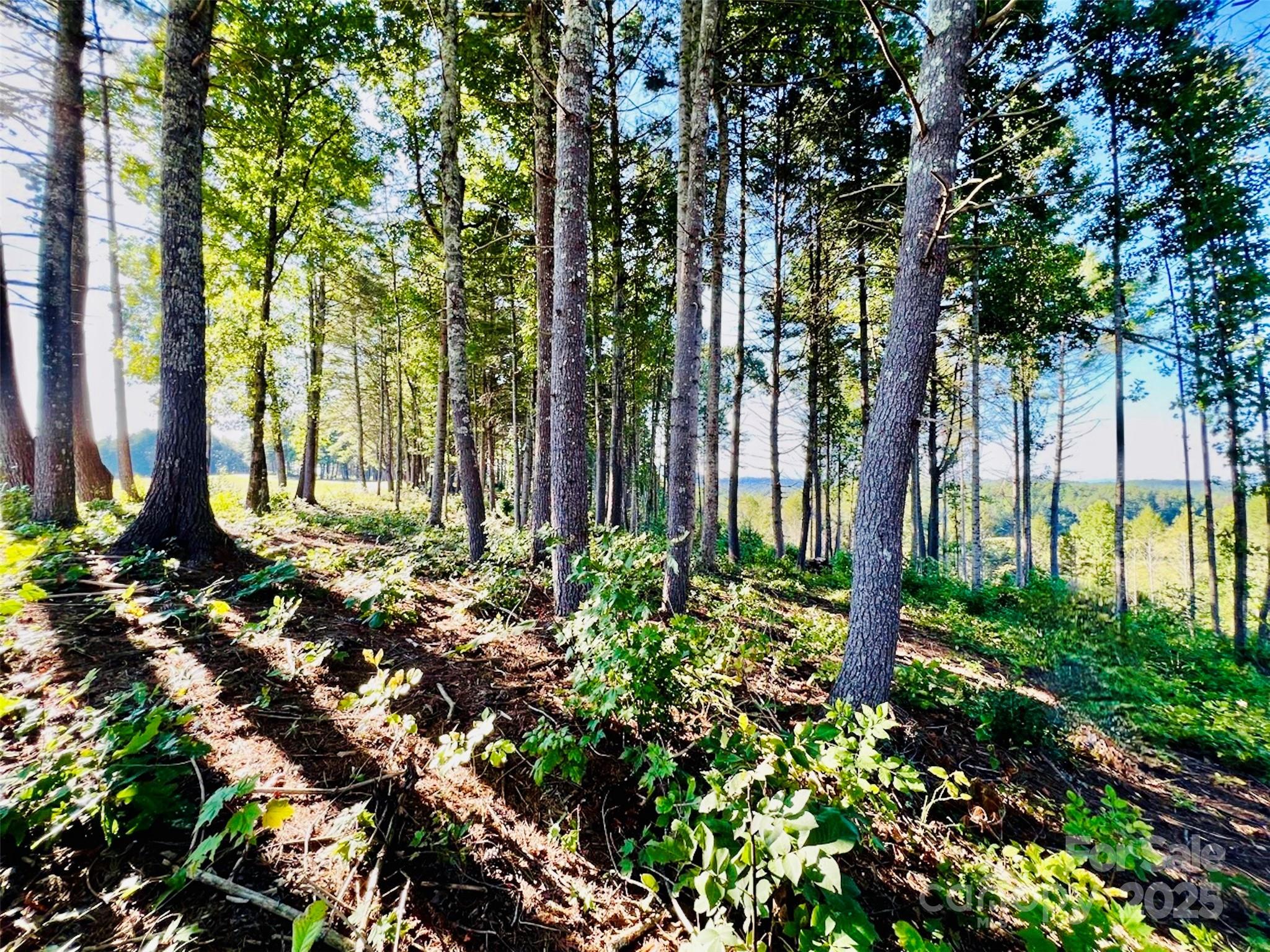 2.07 Acres, 2058 Thoroughbred Way G16 Property Photo 4