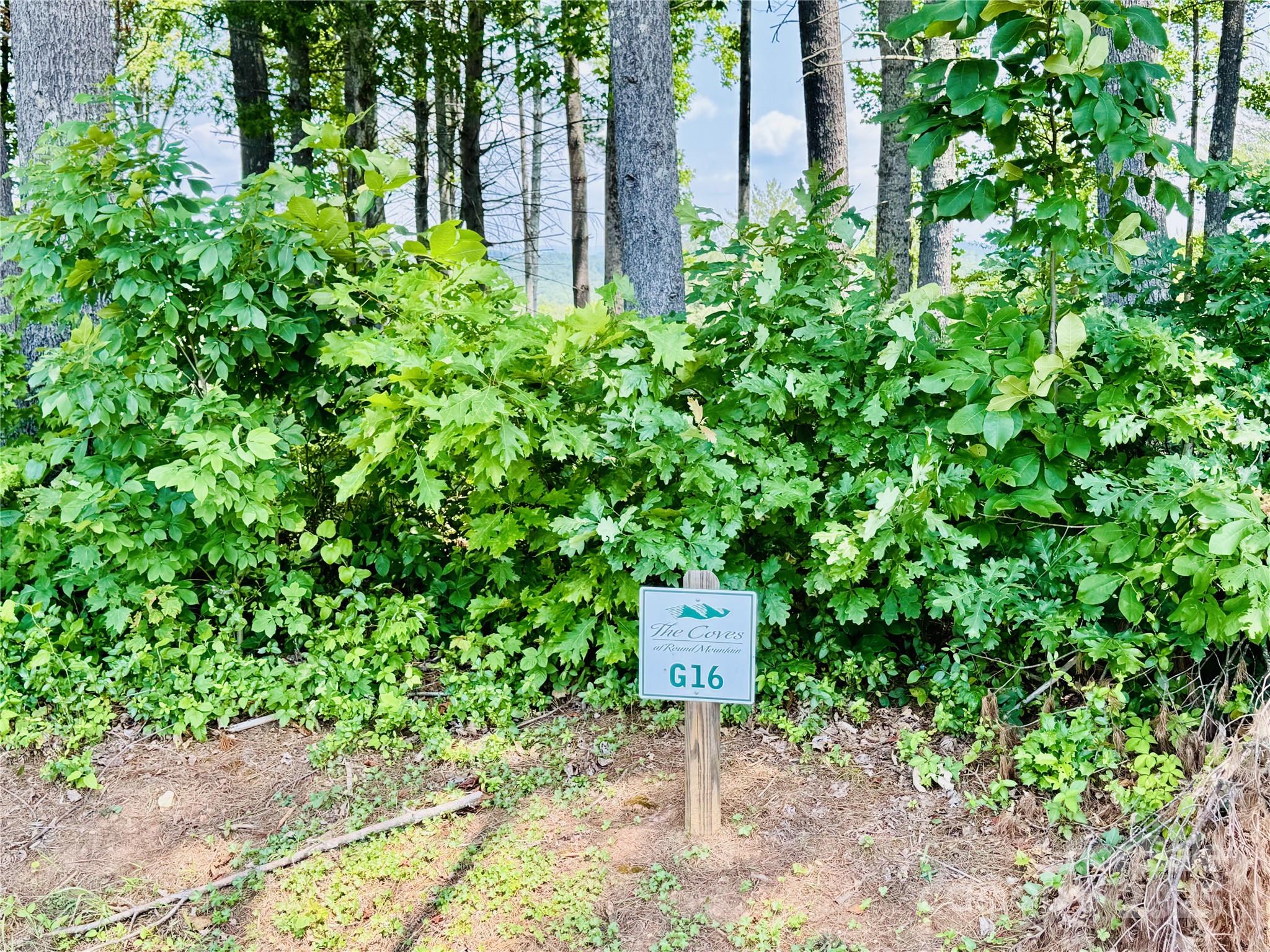 2.07 Acres, 2058 Thoroughbred Way G16 Property Photo 5