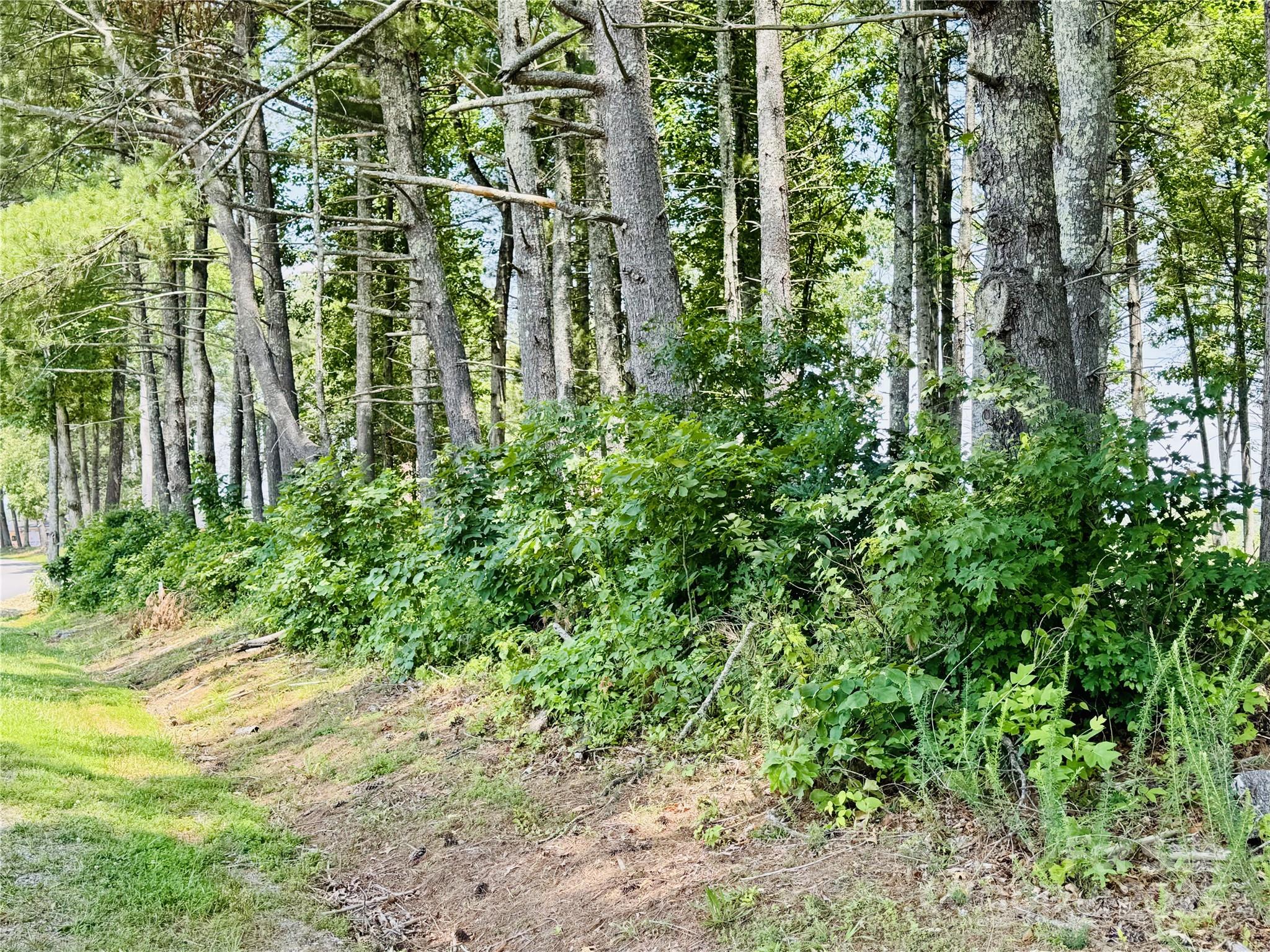 2.07 Acres, 2058 Thoroughbred Way G16 Property Photo 7
