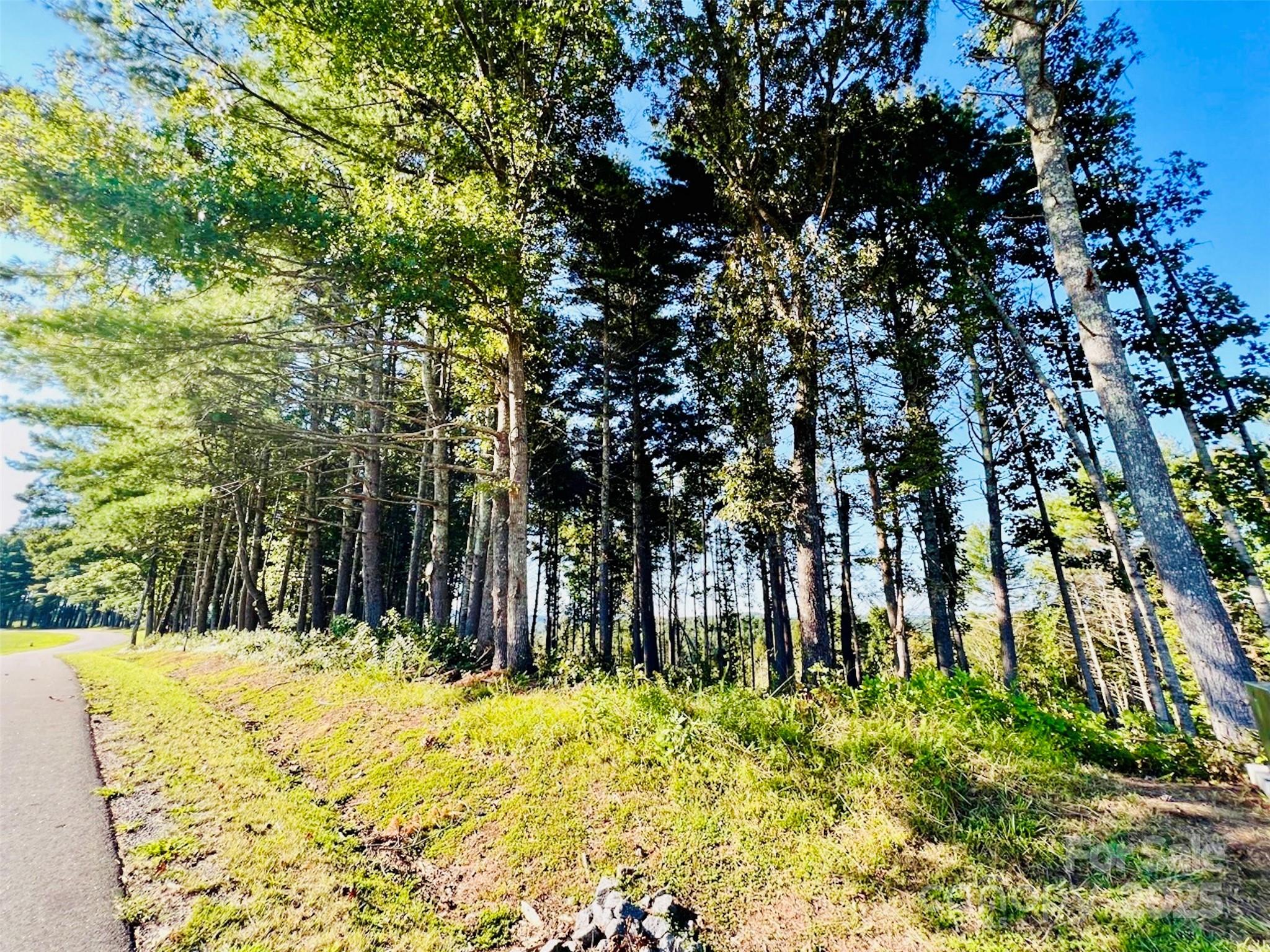 2.07 Acres, 2058 Thoroughbred Way G16 Property Photo 9