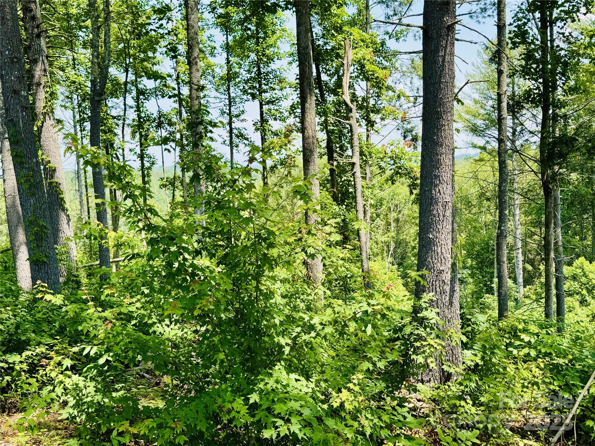 2.07 Acres, 2058 Thoroughbred Way G16 Property Photo 10