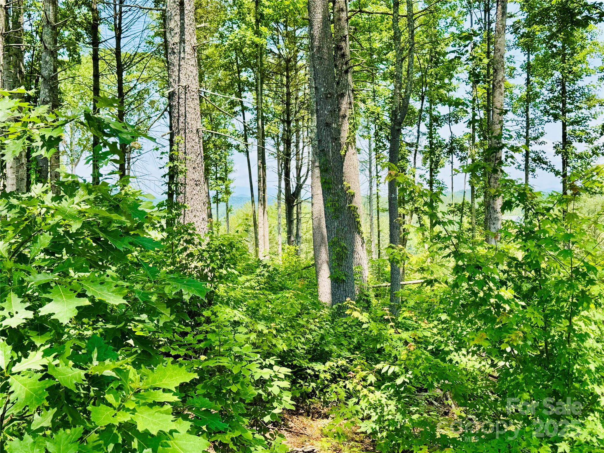 2.07 Acres, 2058 Thoroughbred Way G16 Property Photo 11