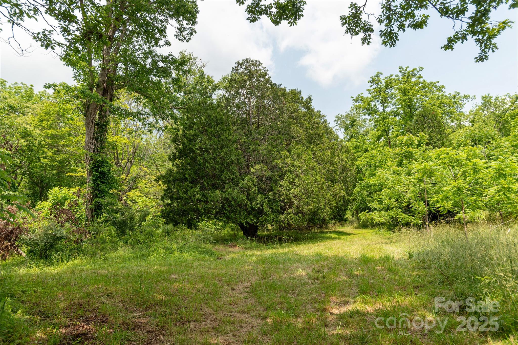 997 Tole Allison Road Property Photo 11