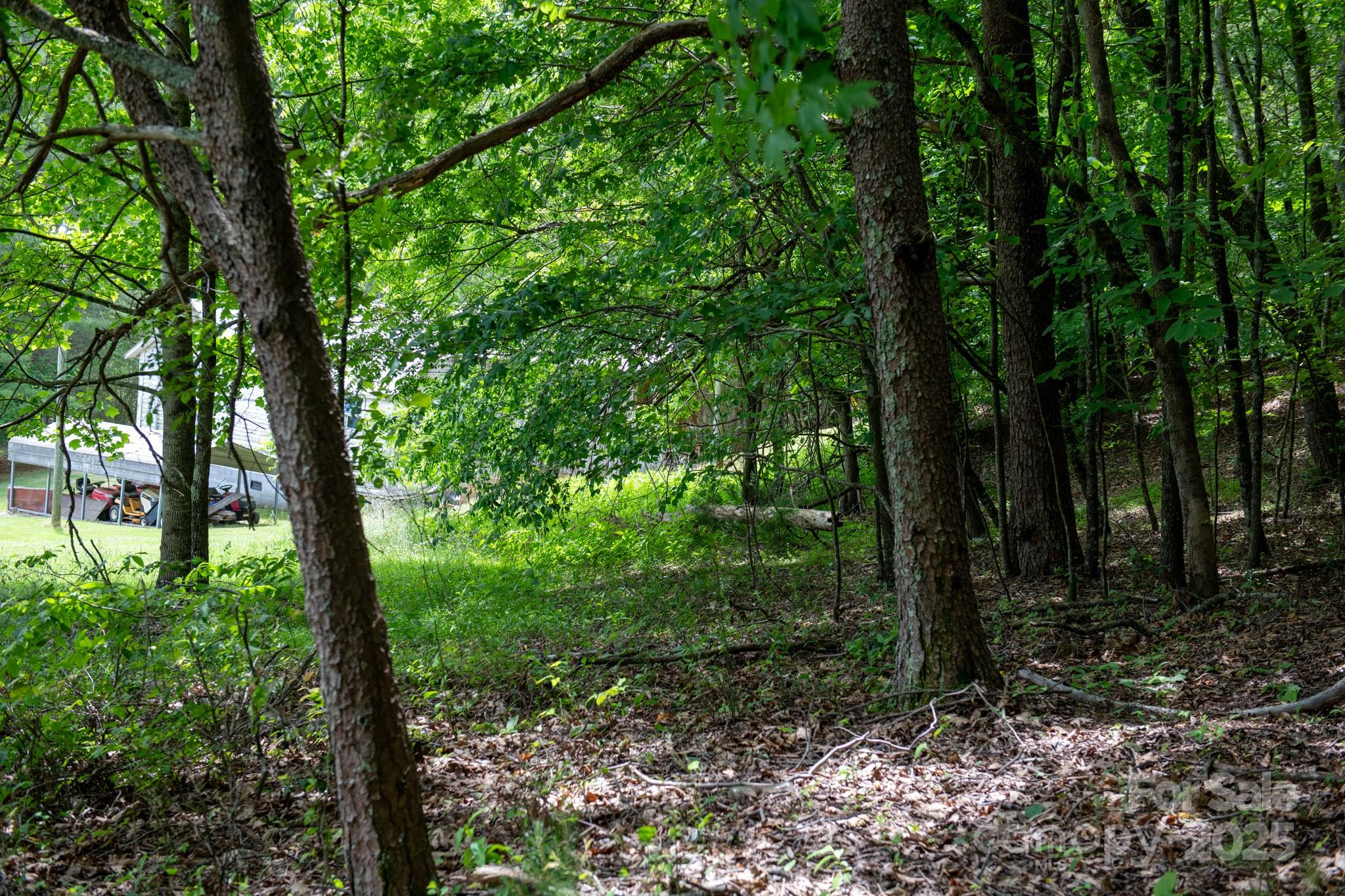 2023 White Springs Lane Property Photo 13