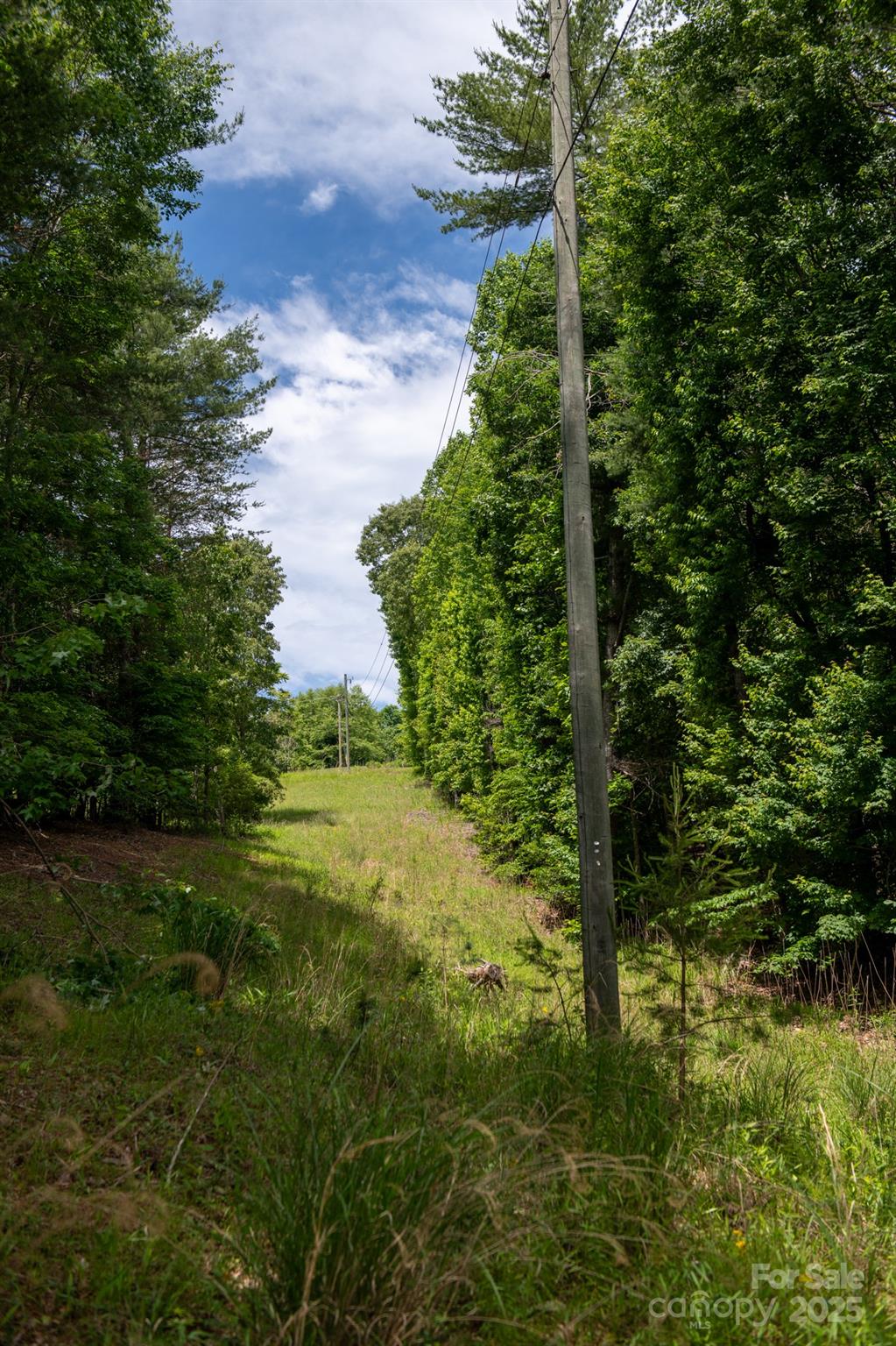 2023 White Springs Lane Property Photo 16