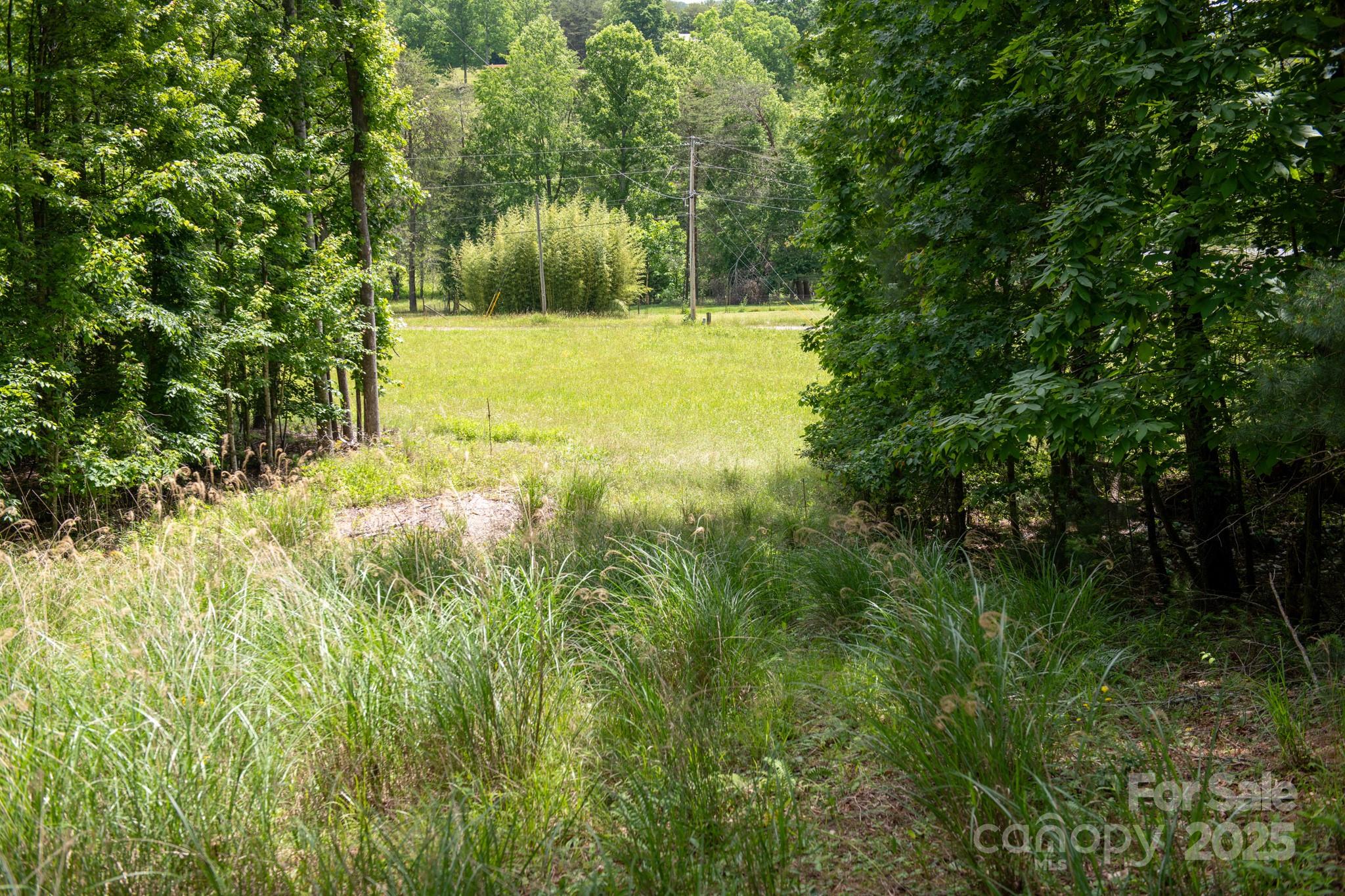 2023 White Springs Lane Property Photo 17