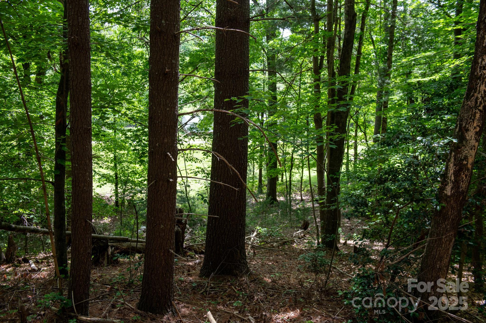 2023 White Springs Lane Property Photo 18