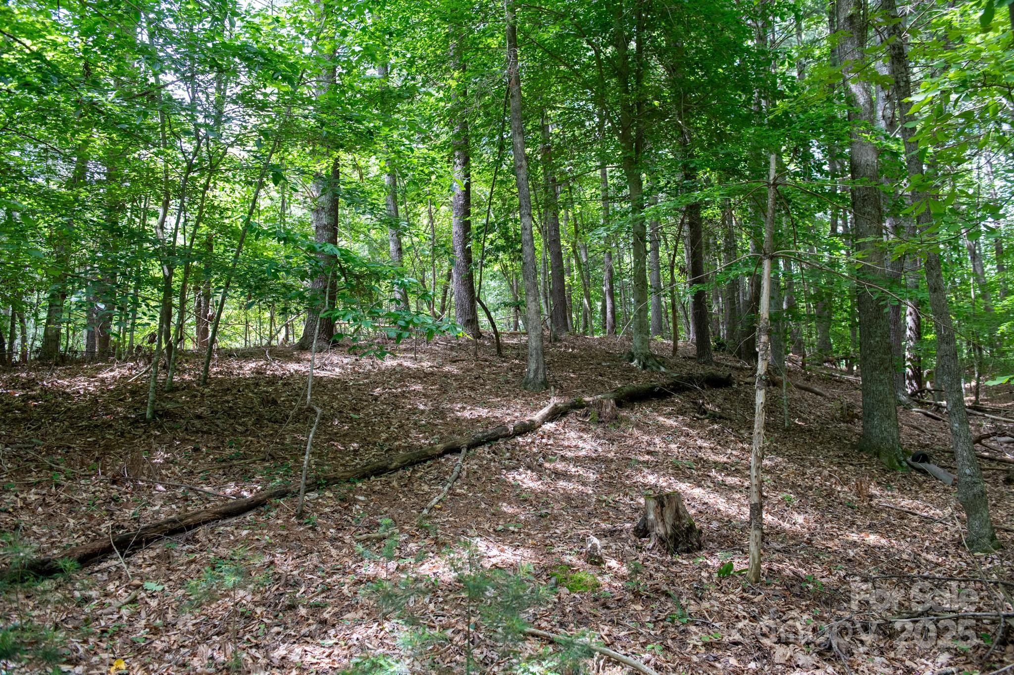 2023 White Springs Lane Property Photo 19