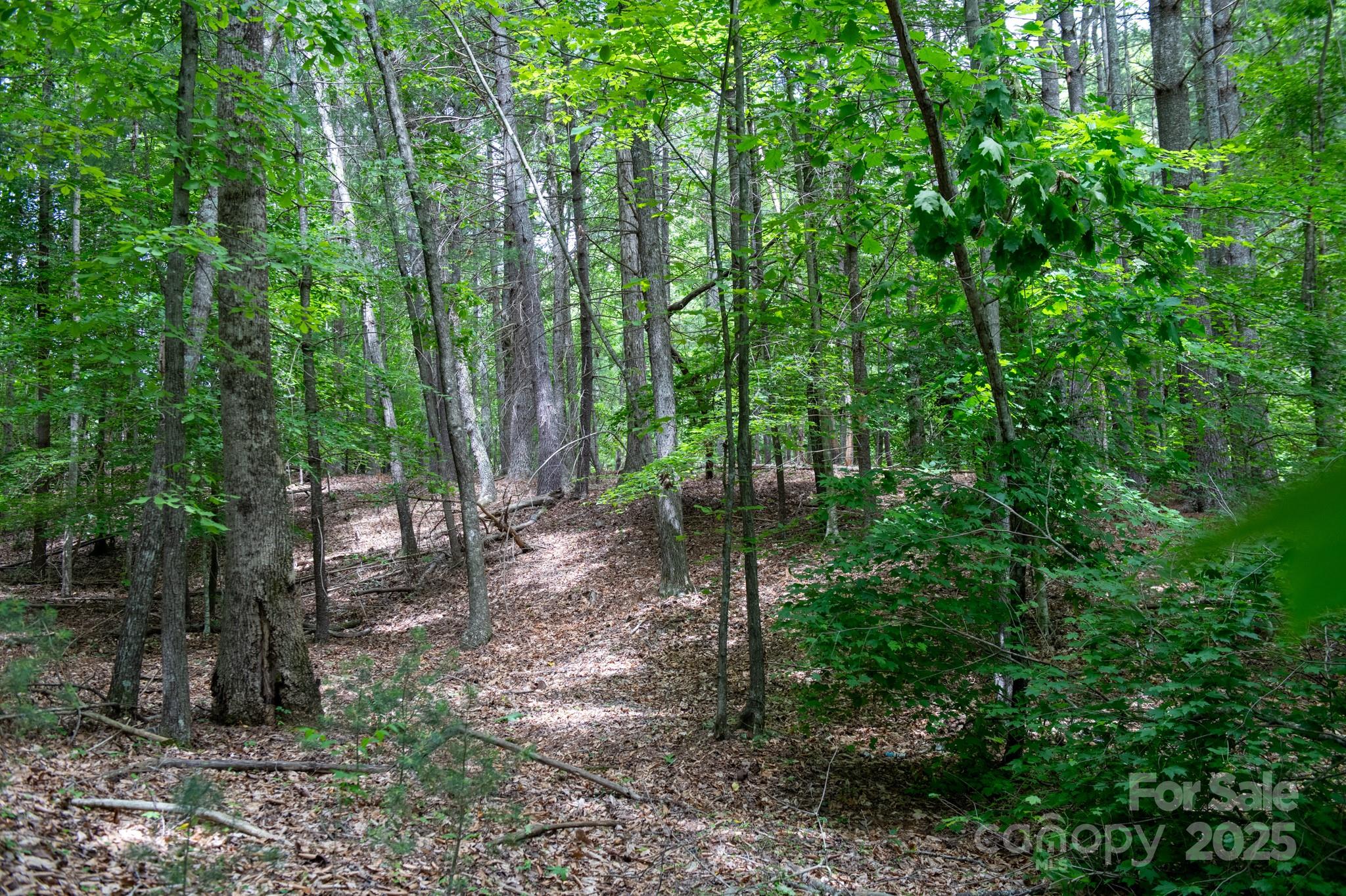 2023 White Springs Lane Property Photo 20