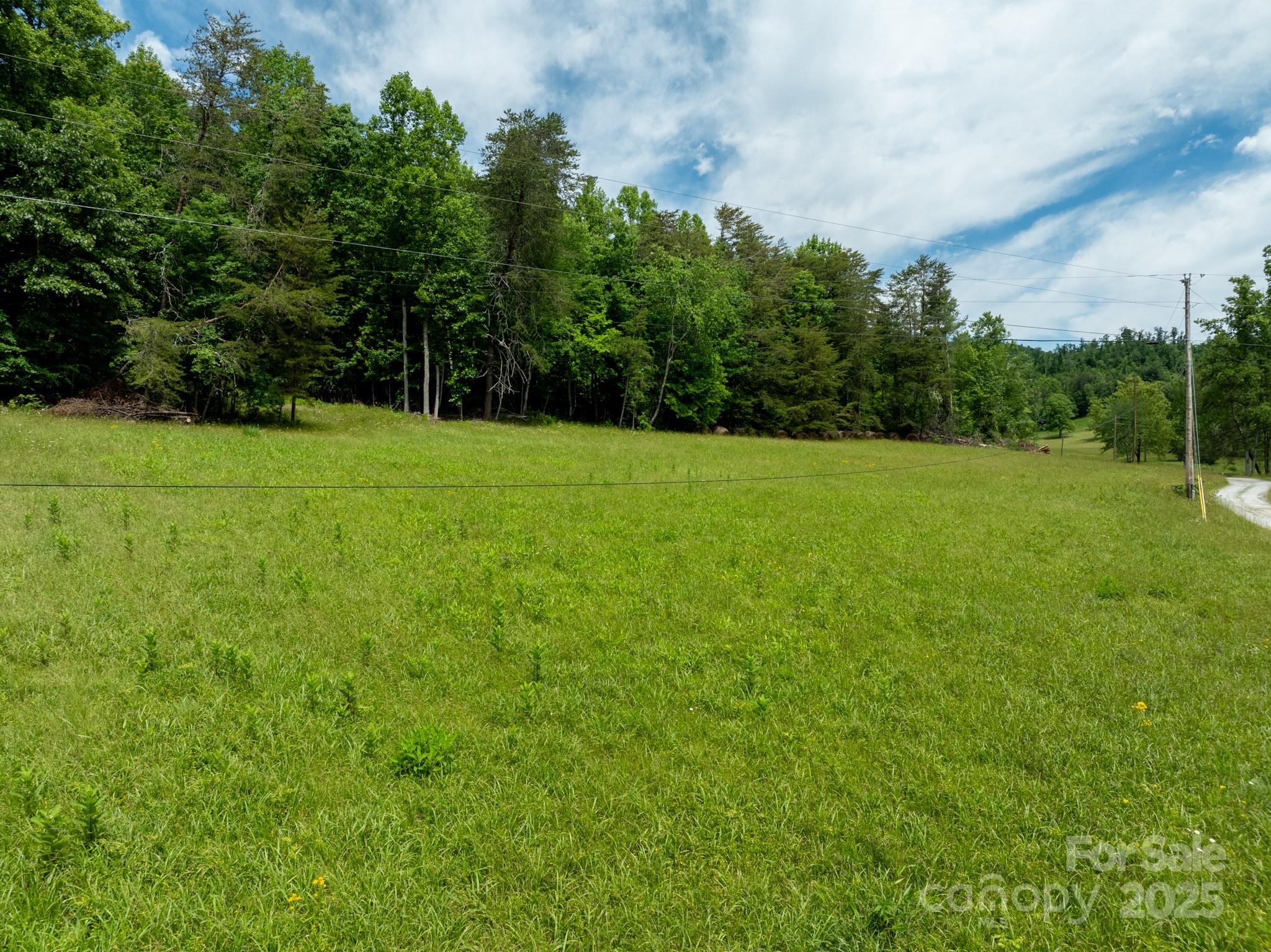 2023 White Springs Lane Property Photo 27