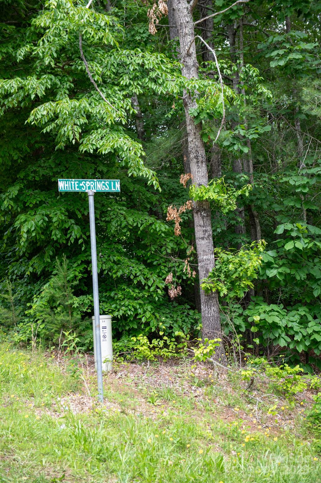 2023 White Springs Lane Property Photo 37