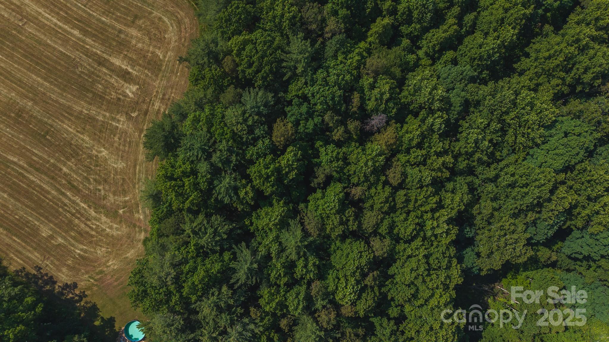 Tbd Johnson Ridge Road Property Photo 2