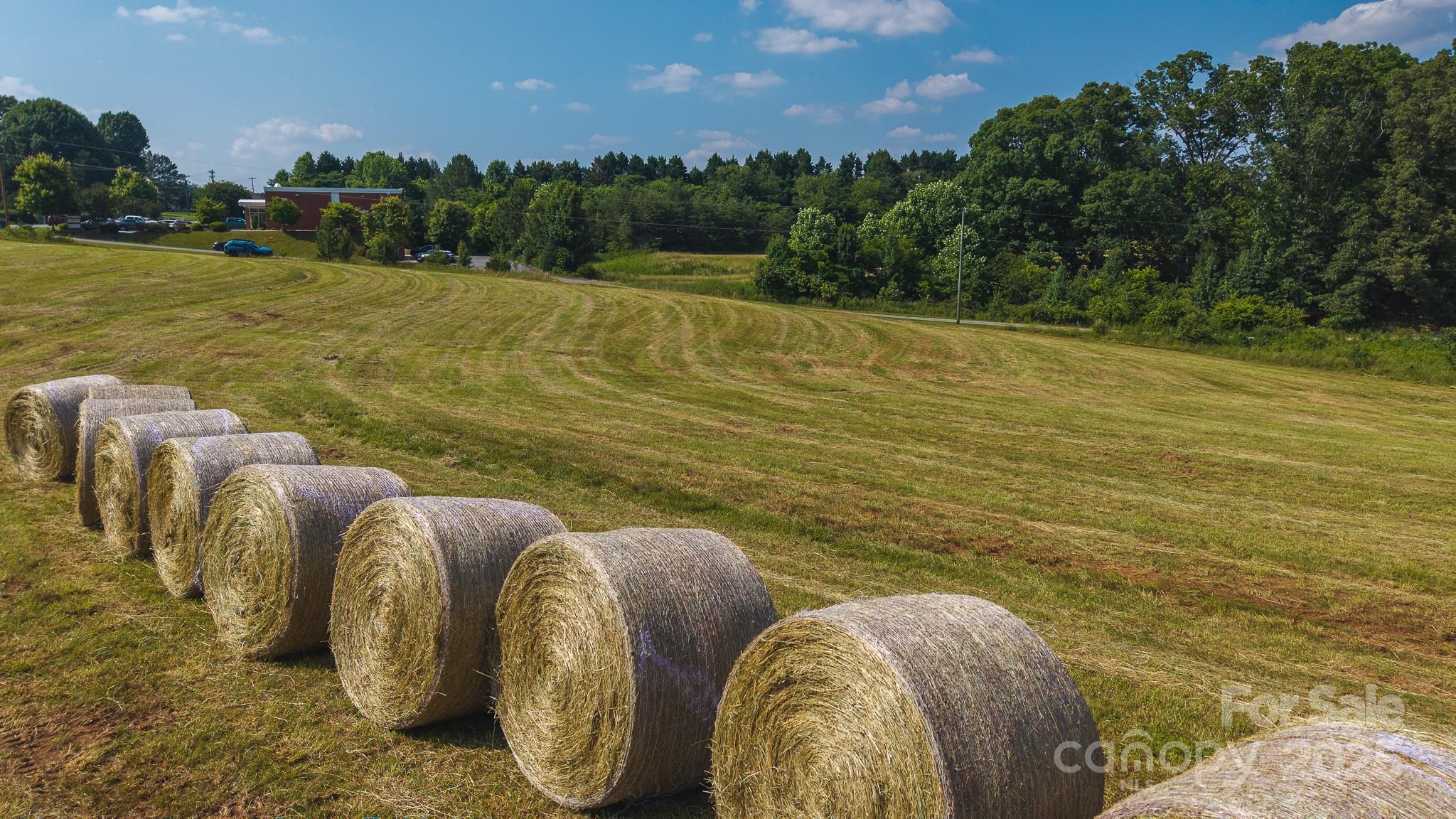 Tbd Johnson Ridge Road Property Photo 10