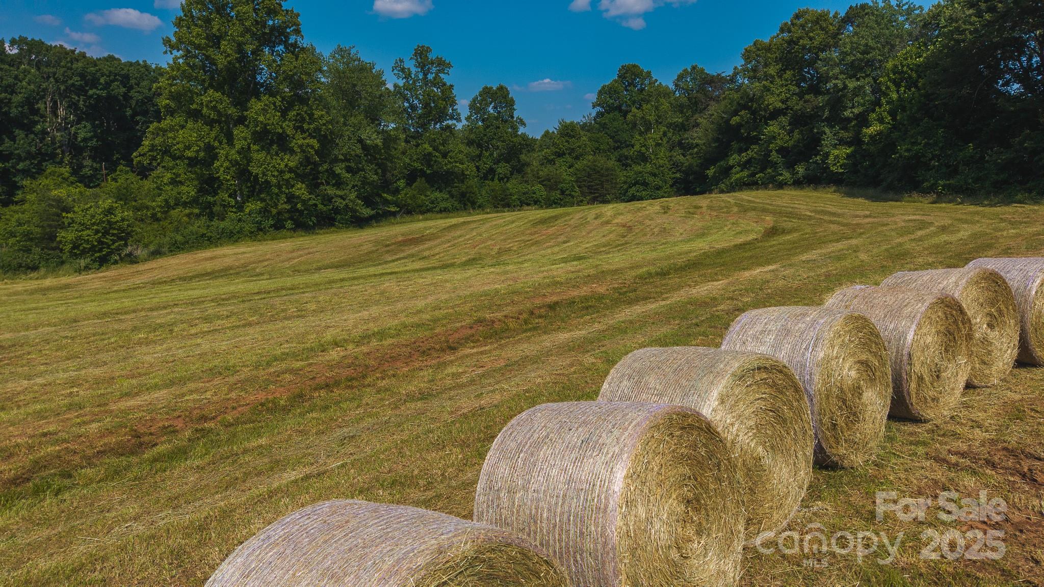 Tbd Johnson Ridge Road Property Photo 11