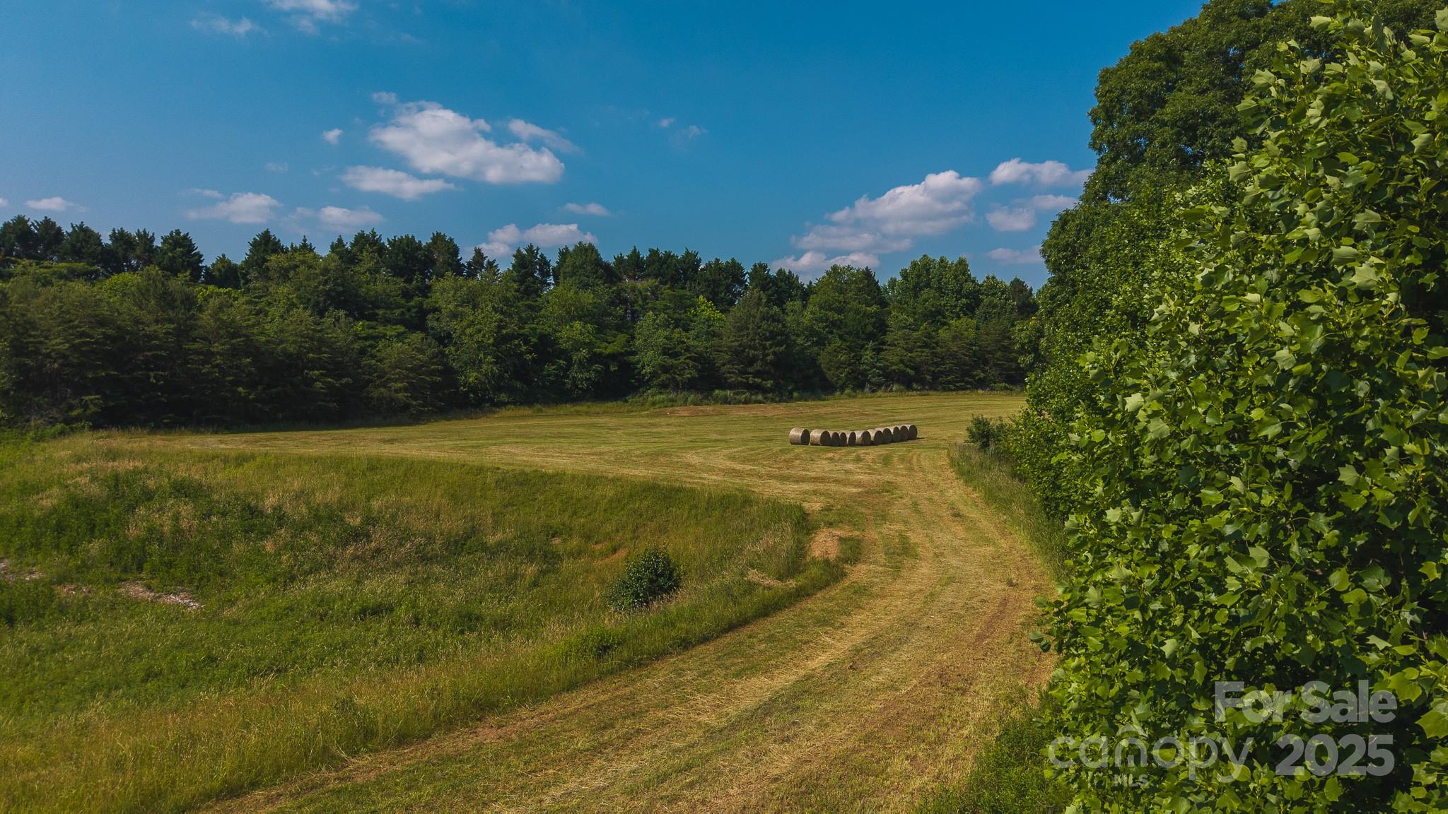 Tbd Johnson Ridge Road Property Photo 12