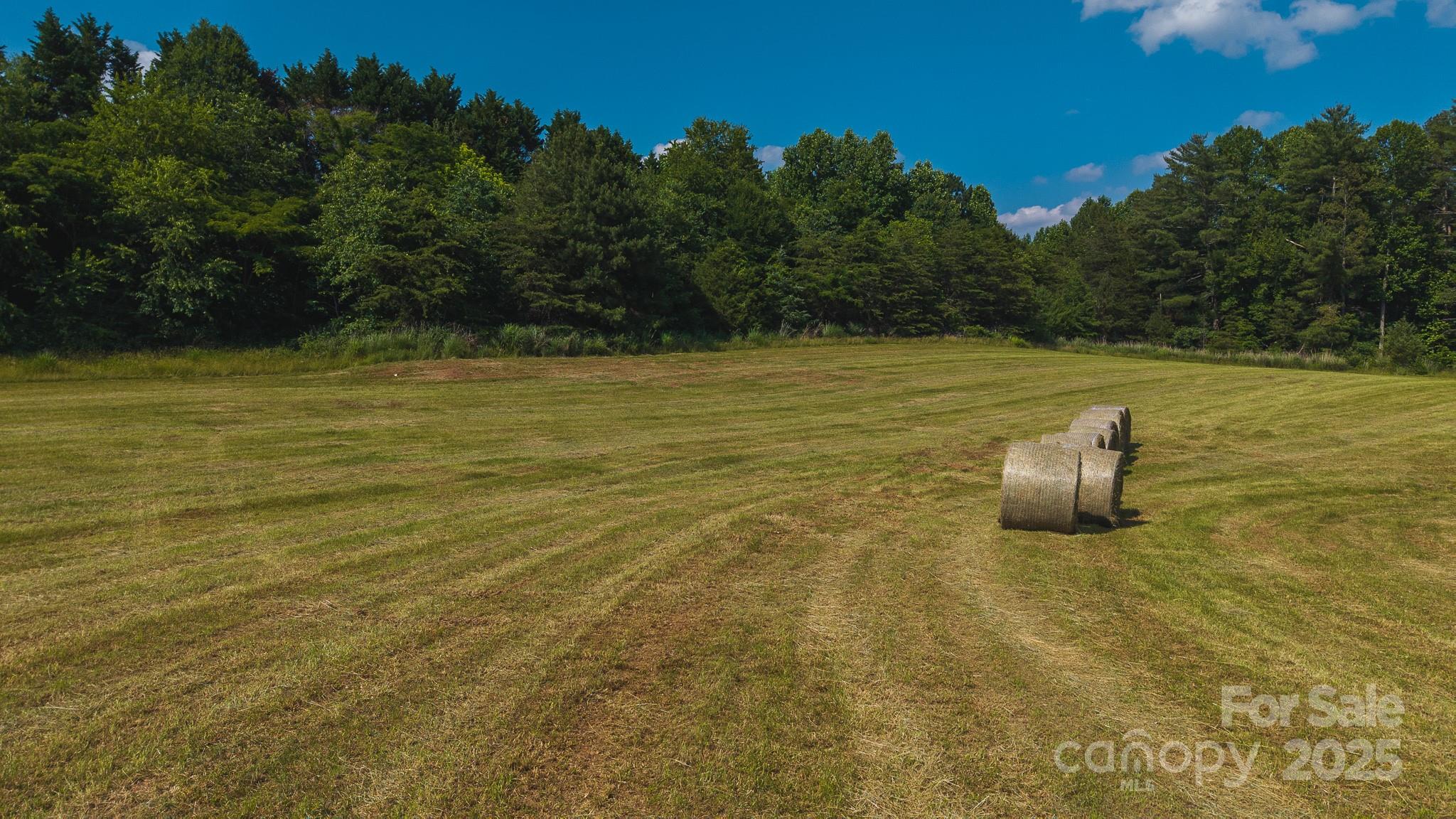 Tbd Johnson Ridge Road Property Photo 15