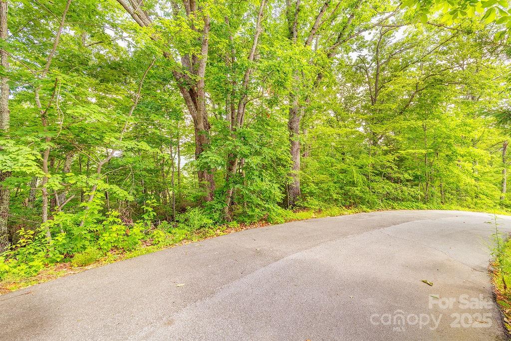 99999 Pheasant Ridge Road 14 Property Photo 1