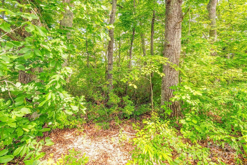 99999 Pheasant Ridge Road 14 Property Photo 4