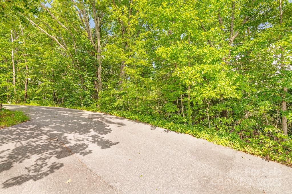 99999 Pheasant Ridge Road 14 Property Photo 6