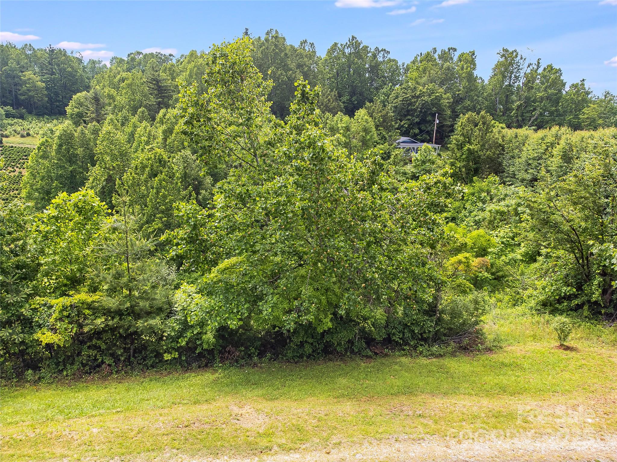Tbd Finch Lane Property Photo 13