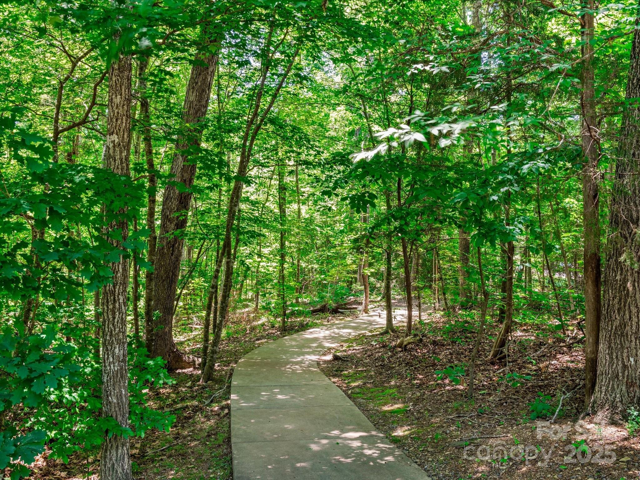 4009 Oxford Mill Road Property Photo 48