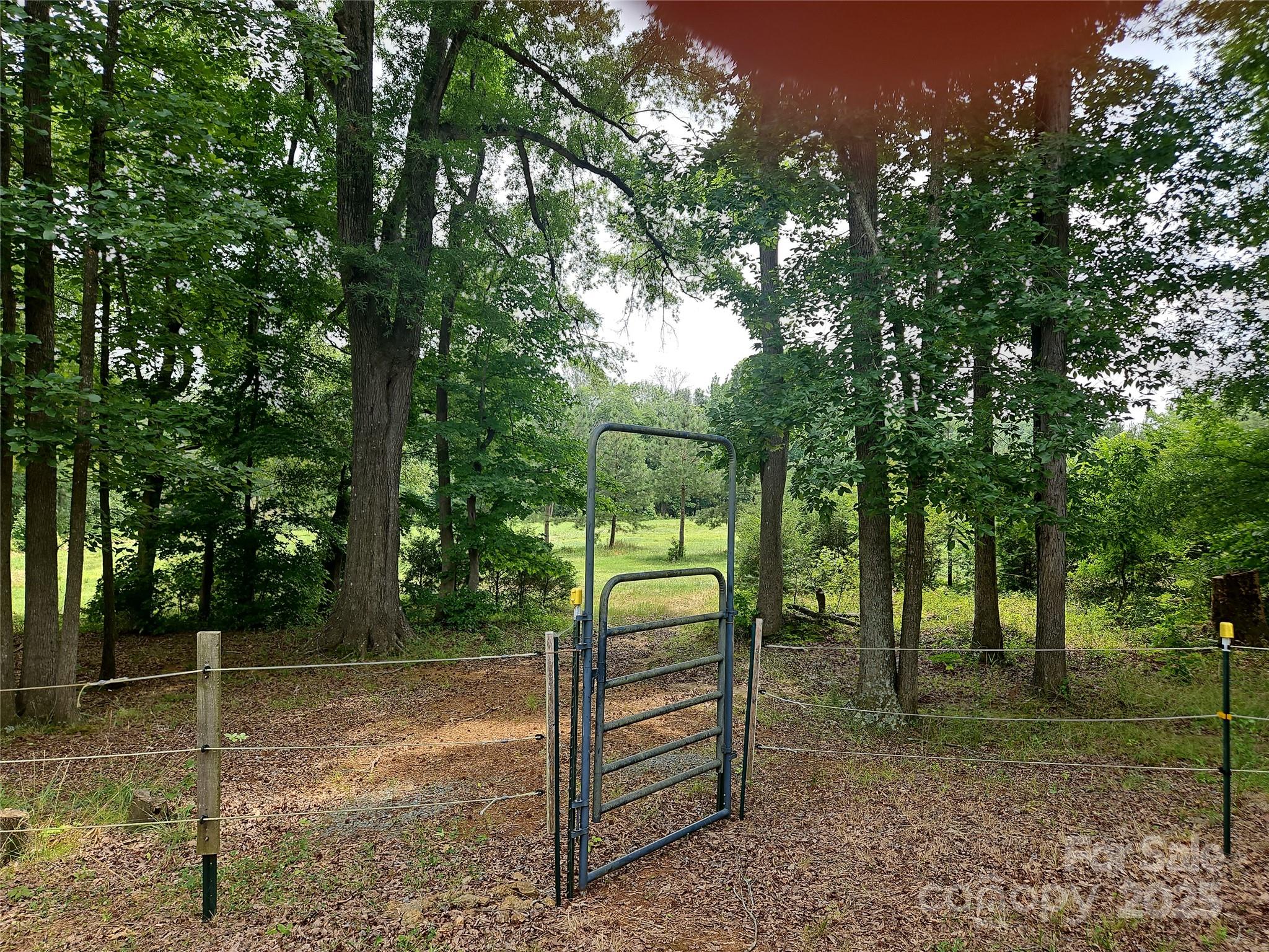 2905 Medlin Road 40 Acres Property Photo 28